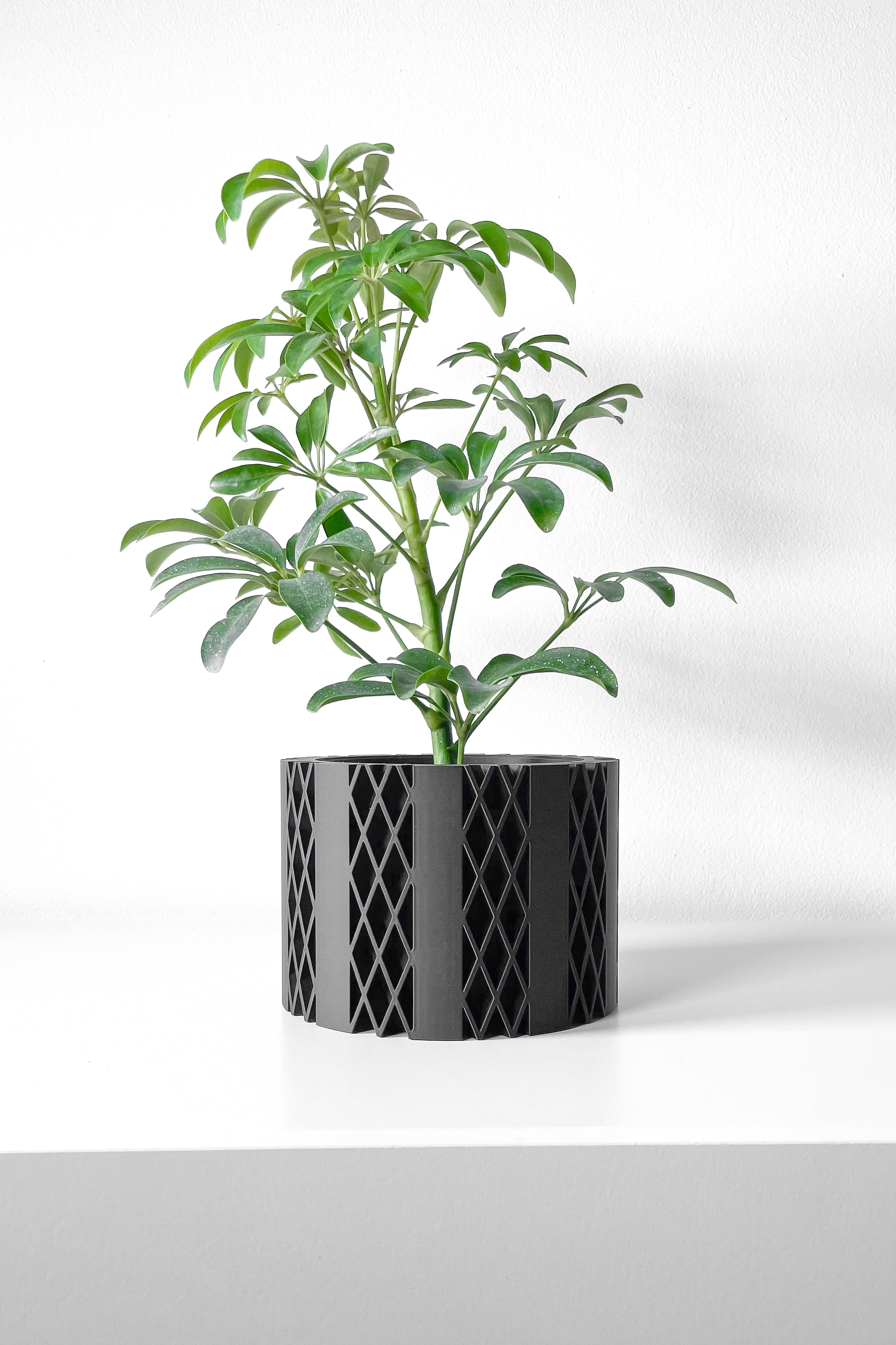 Arven Planter