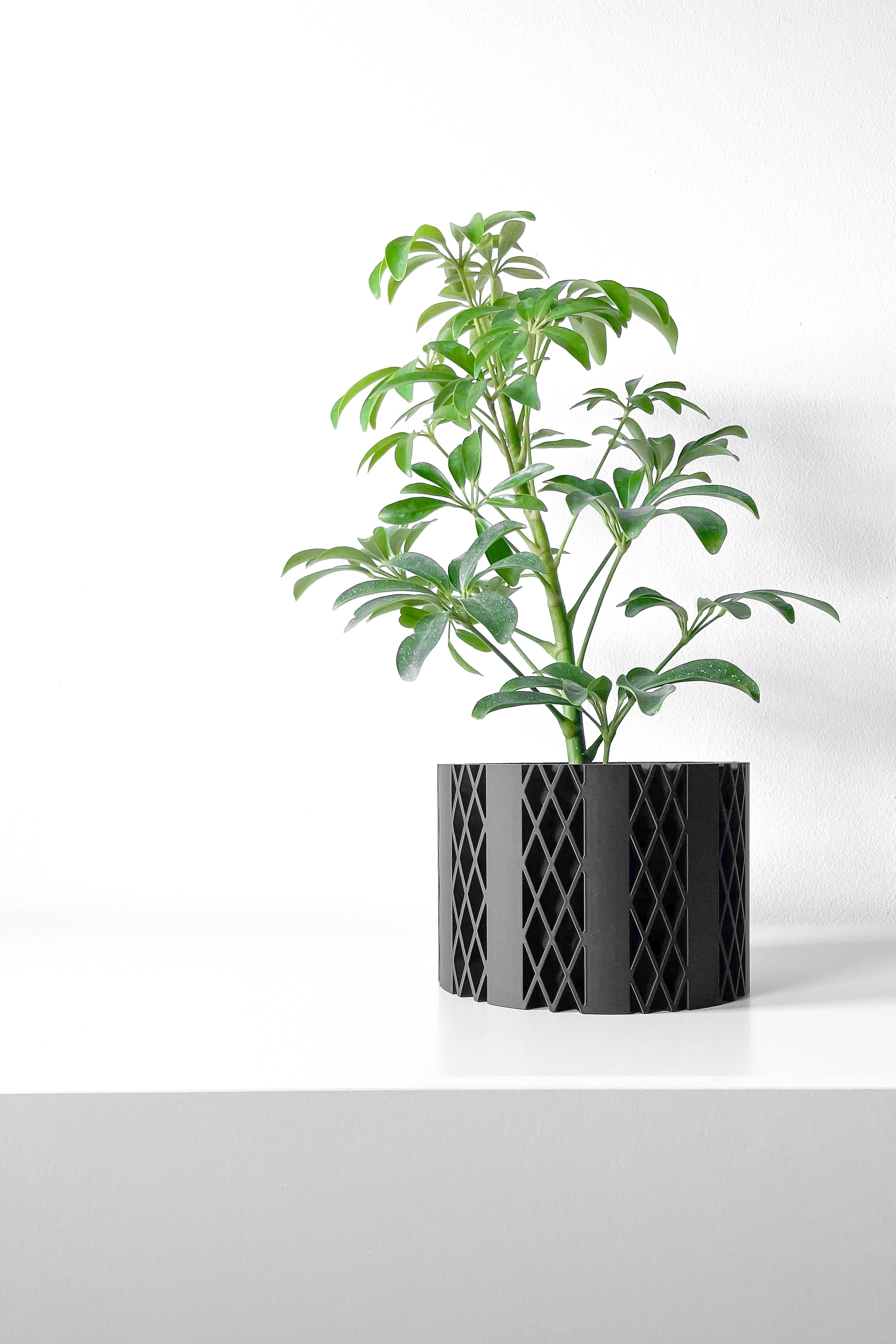 Arven Planter