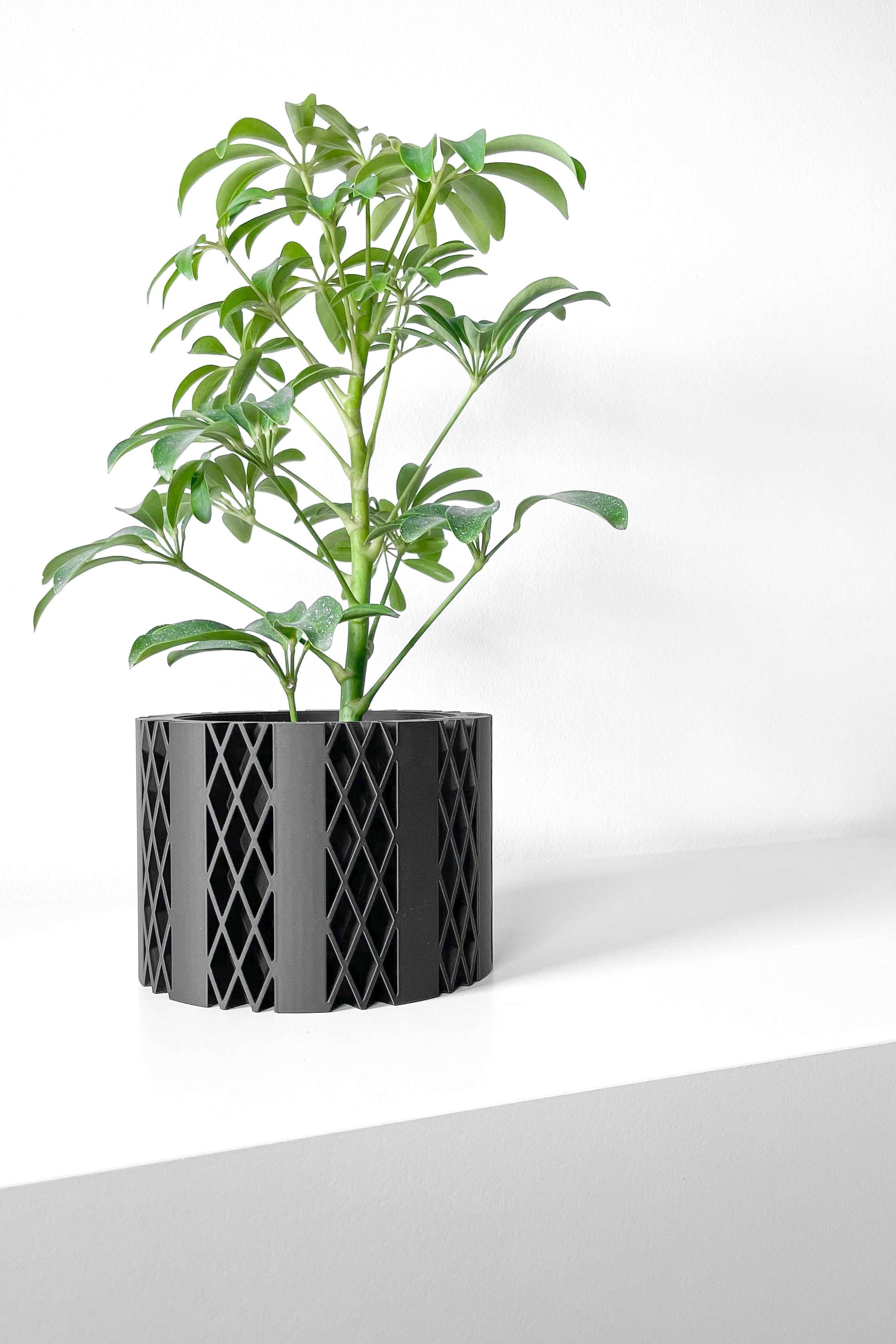Arven Planter