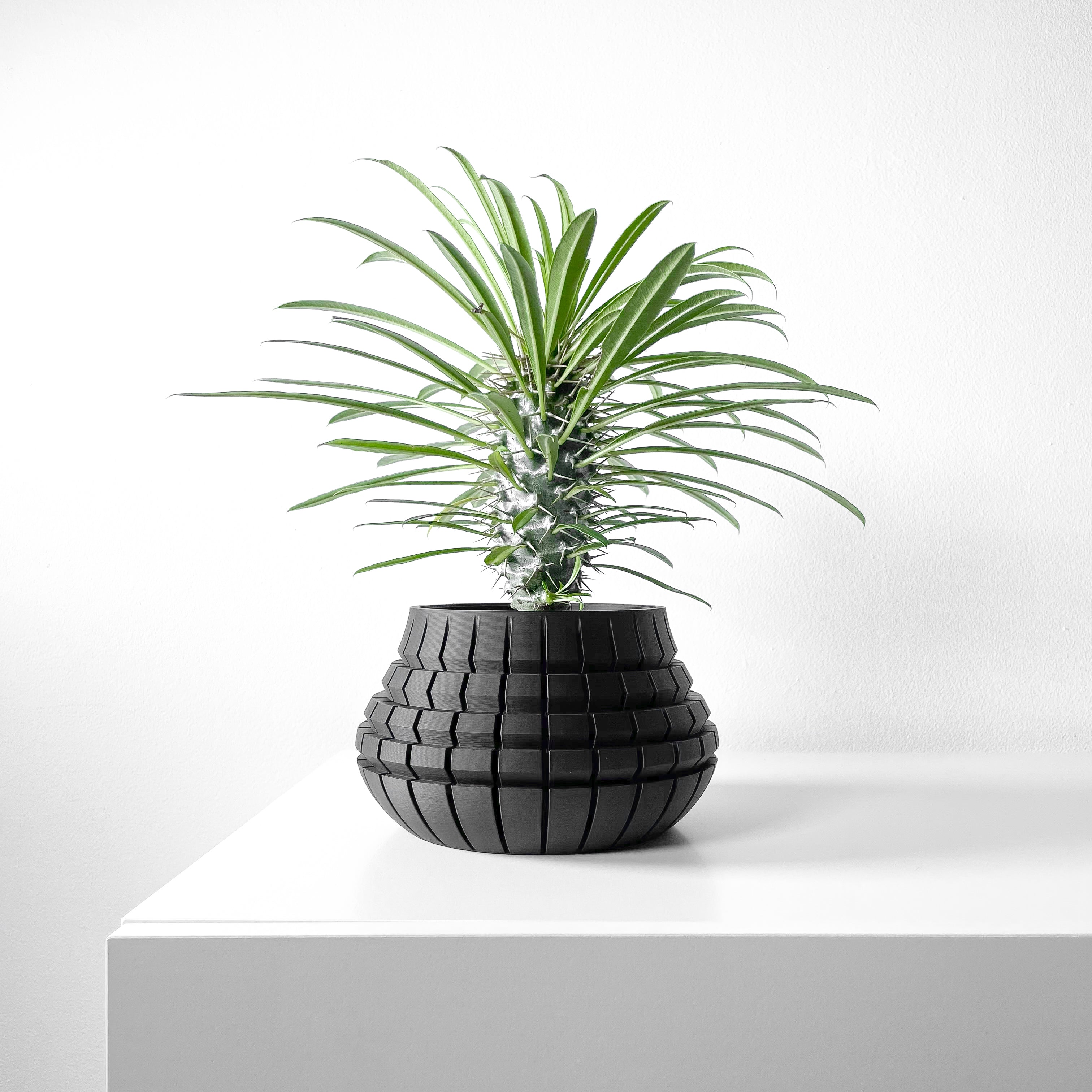 Ivane Planter