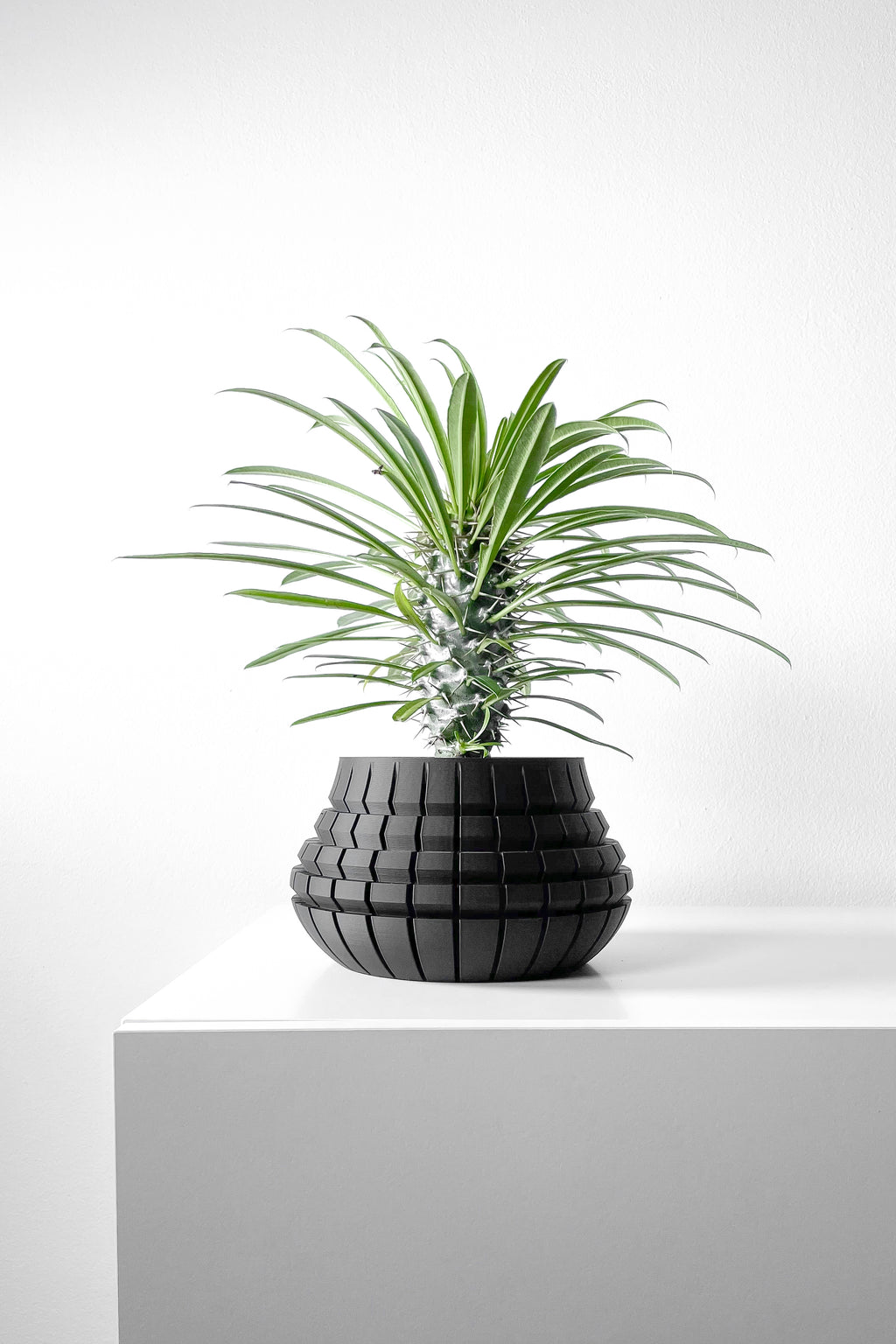 Ivane Planter