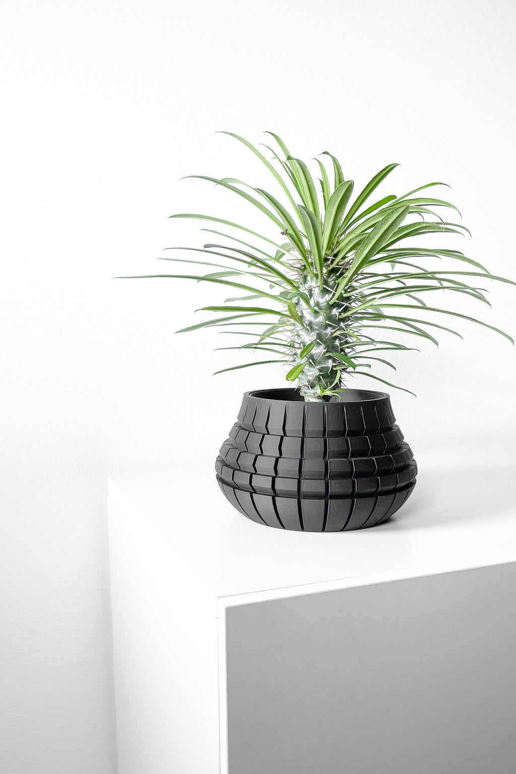 Ivane Planter