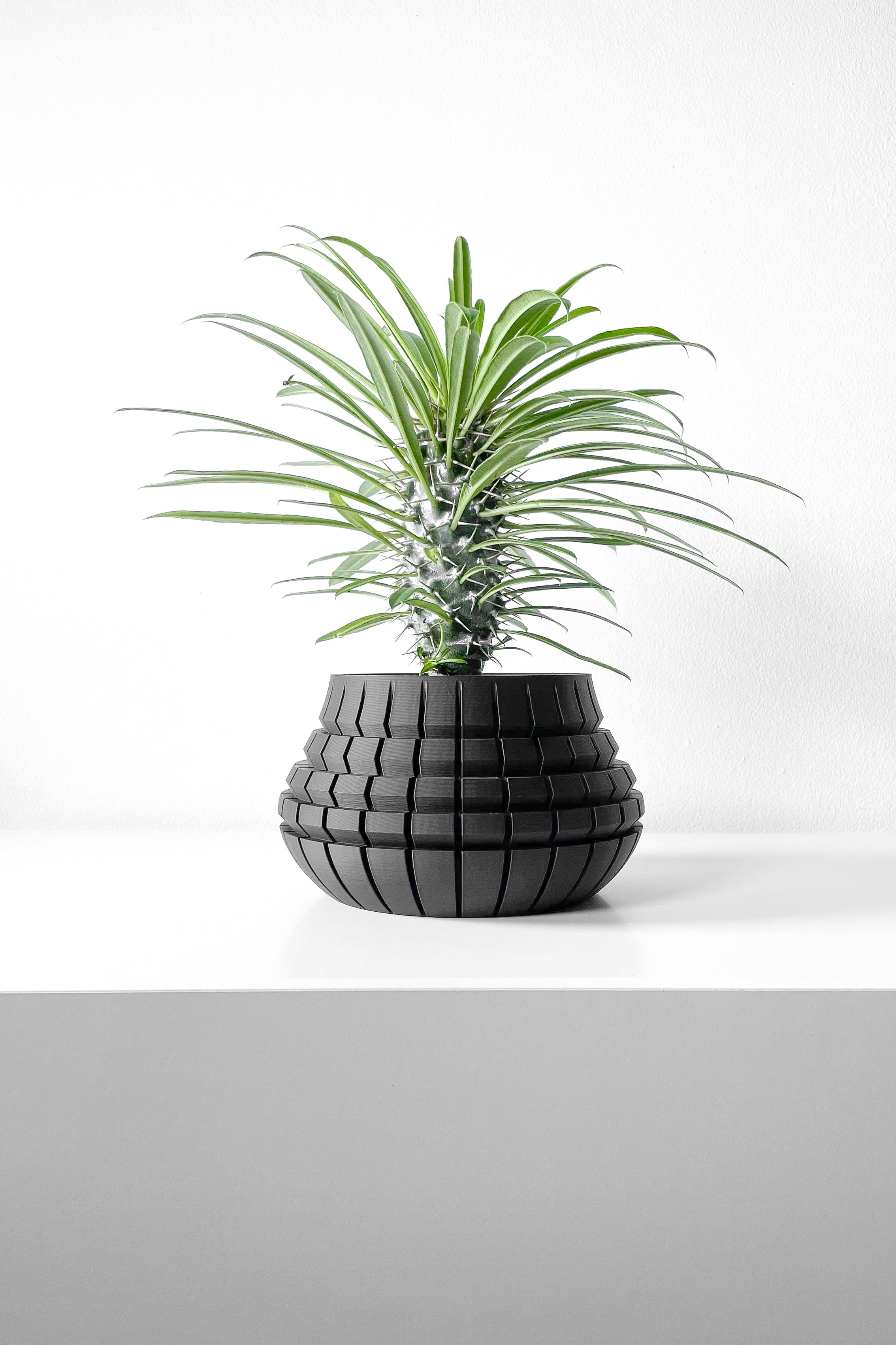 Ivane Planter