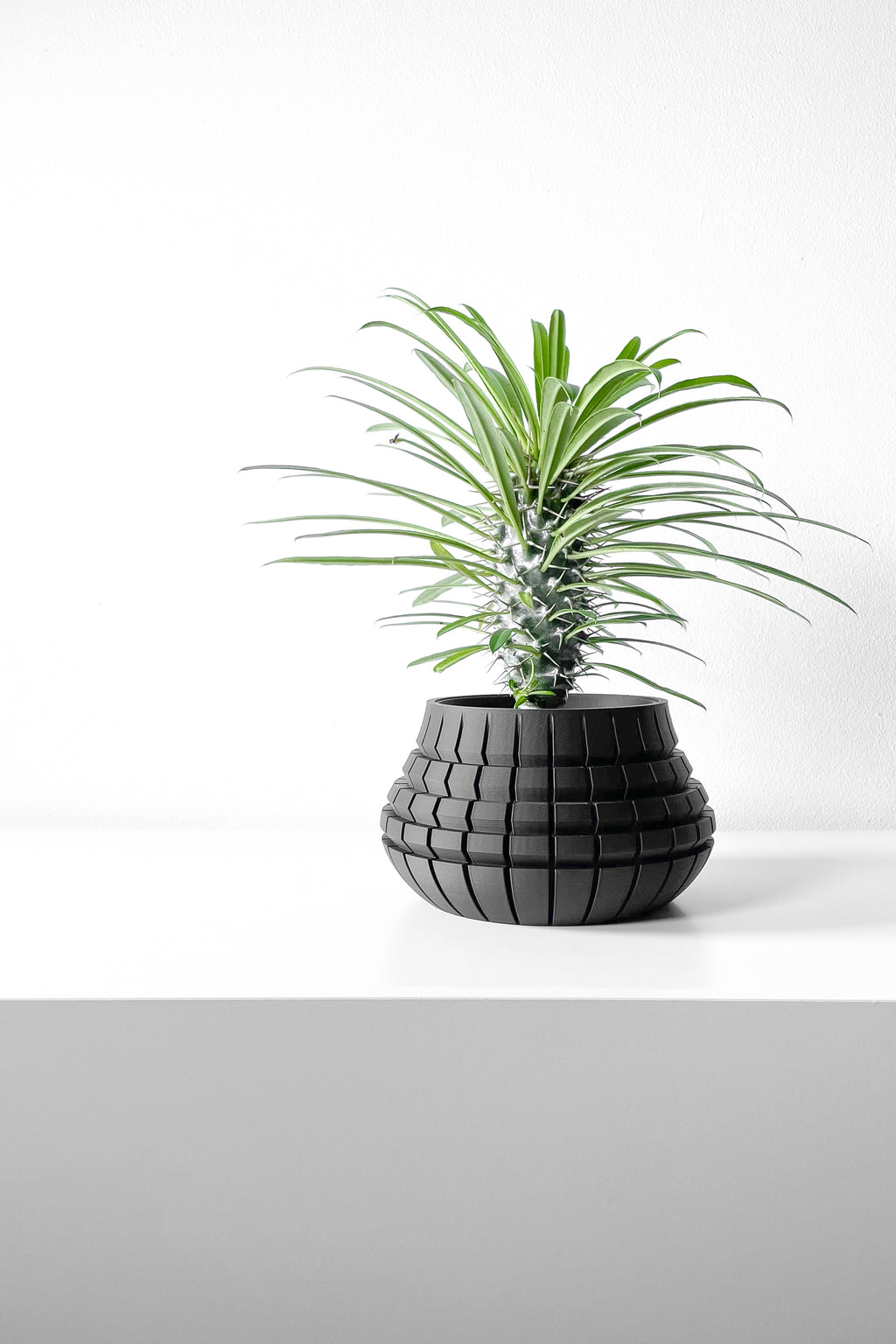 Ivane Planter