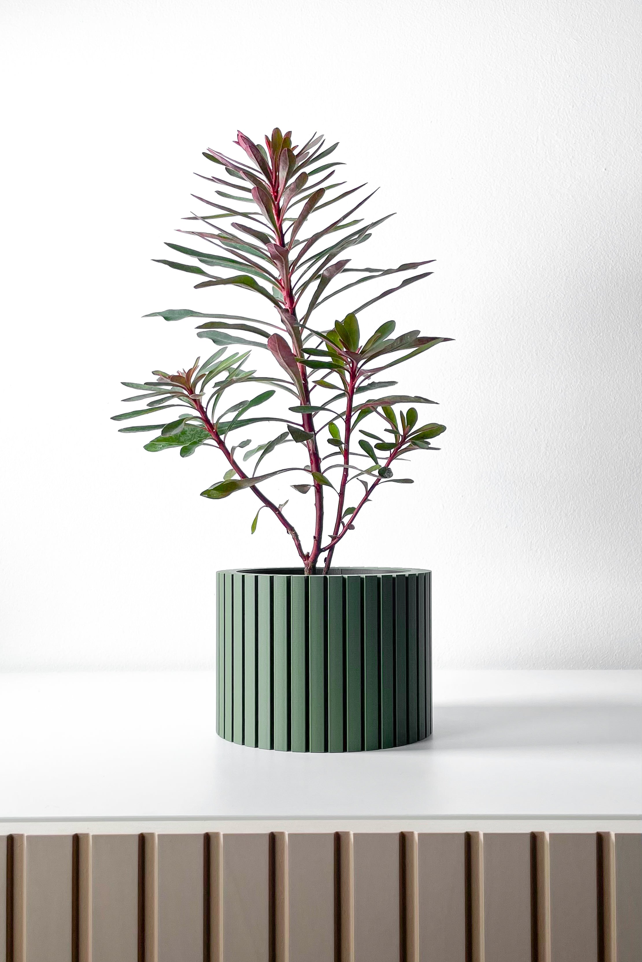 Zelno Planter