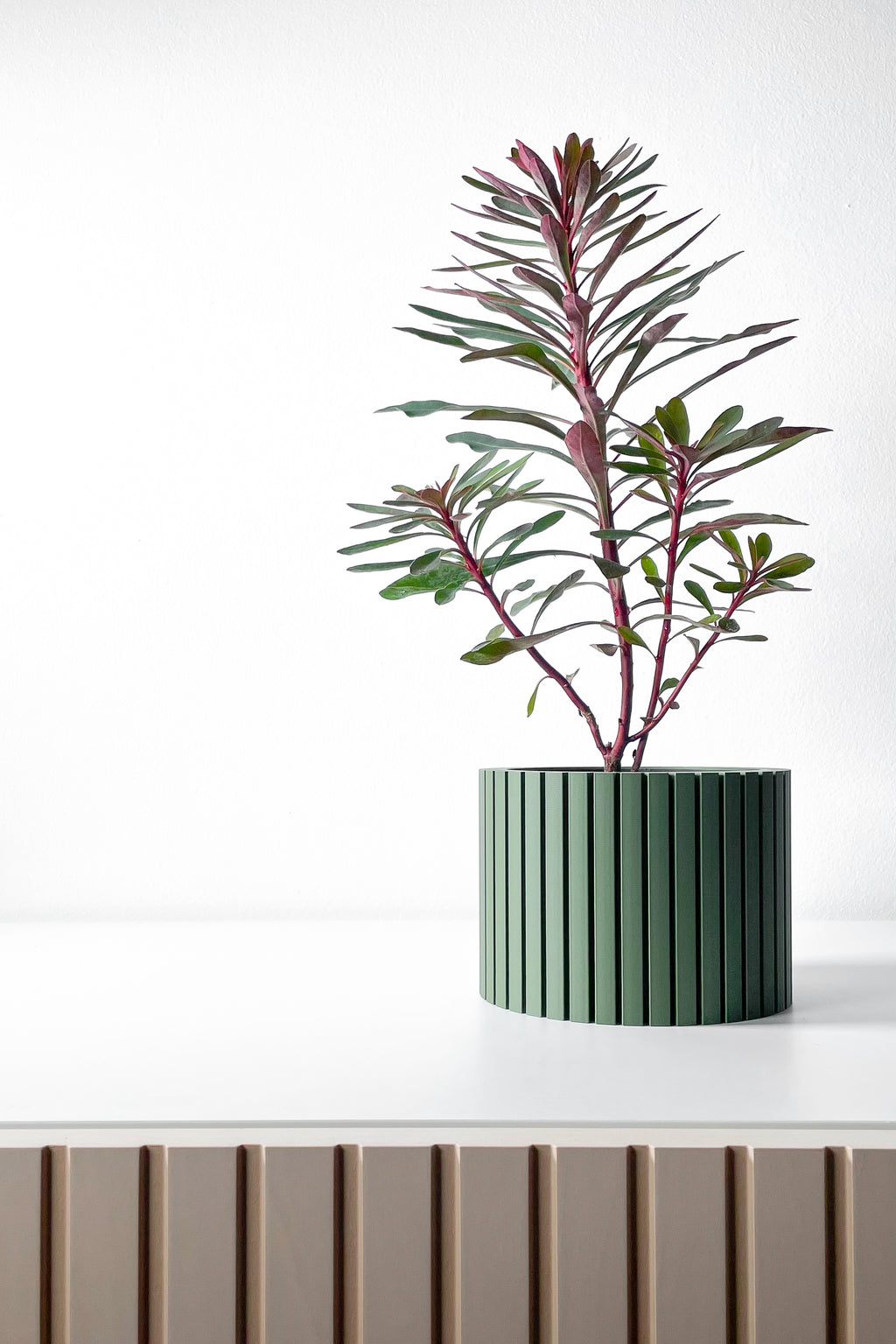 Zelno Planter