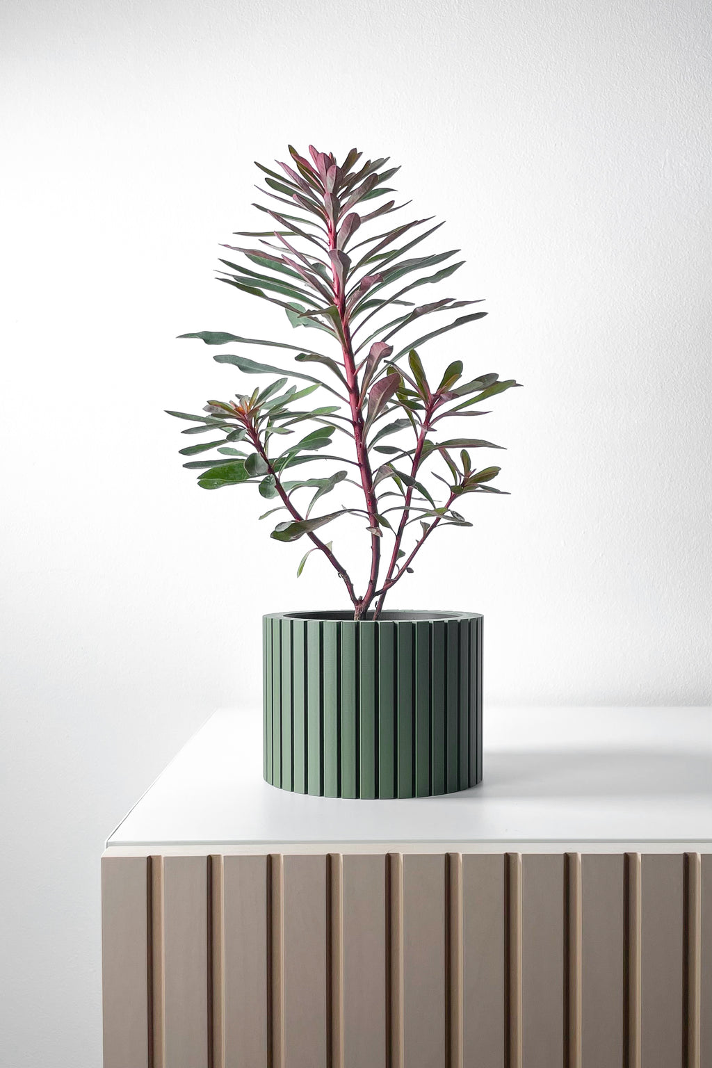Zelno Planter