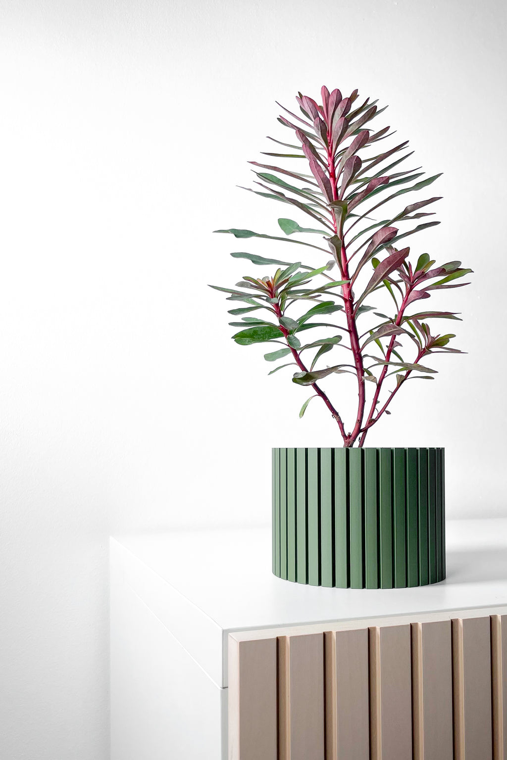 Zelno Planter