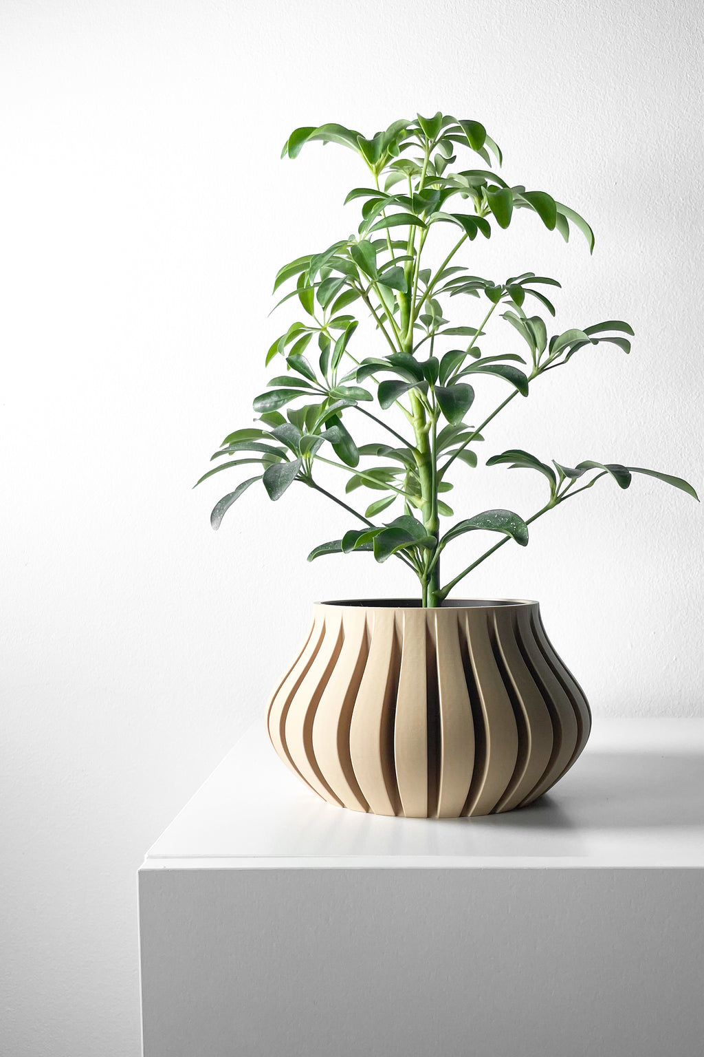 Toril Planter