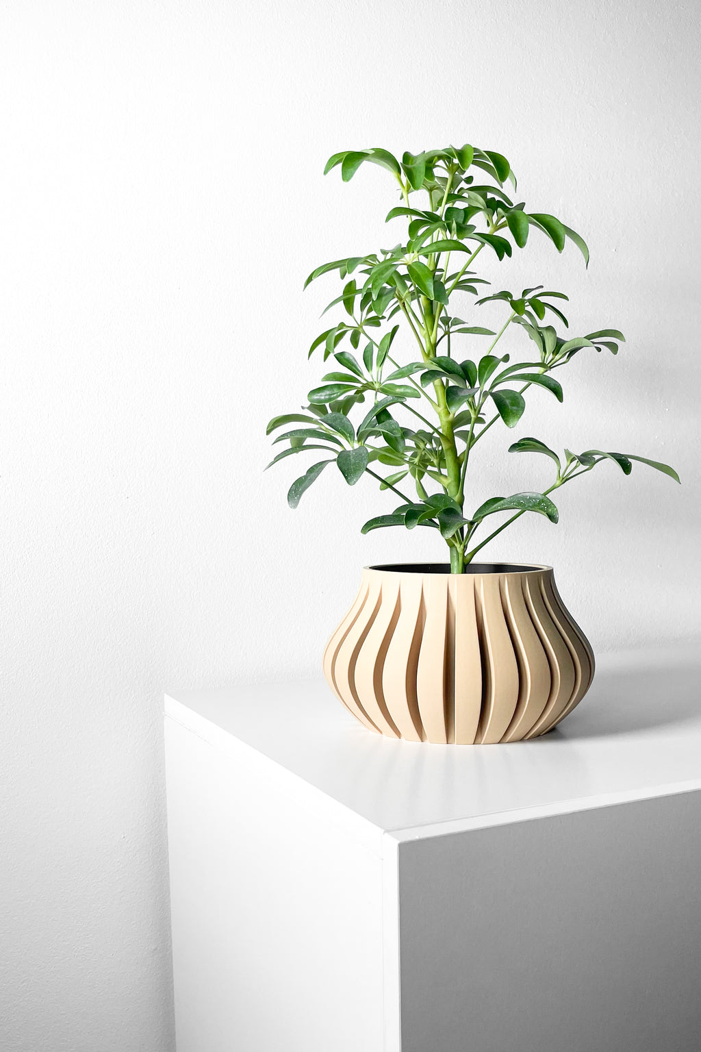 Toril Planter