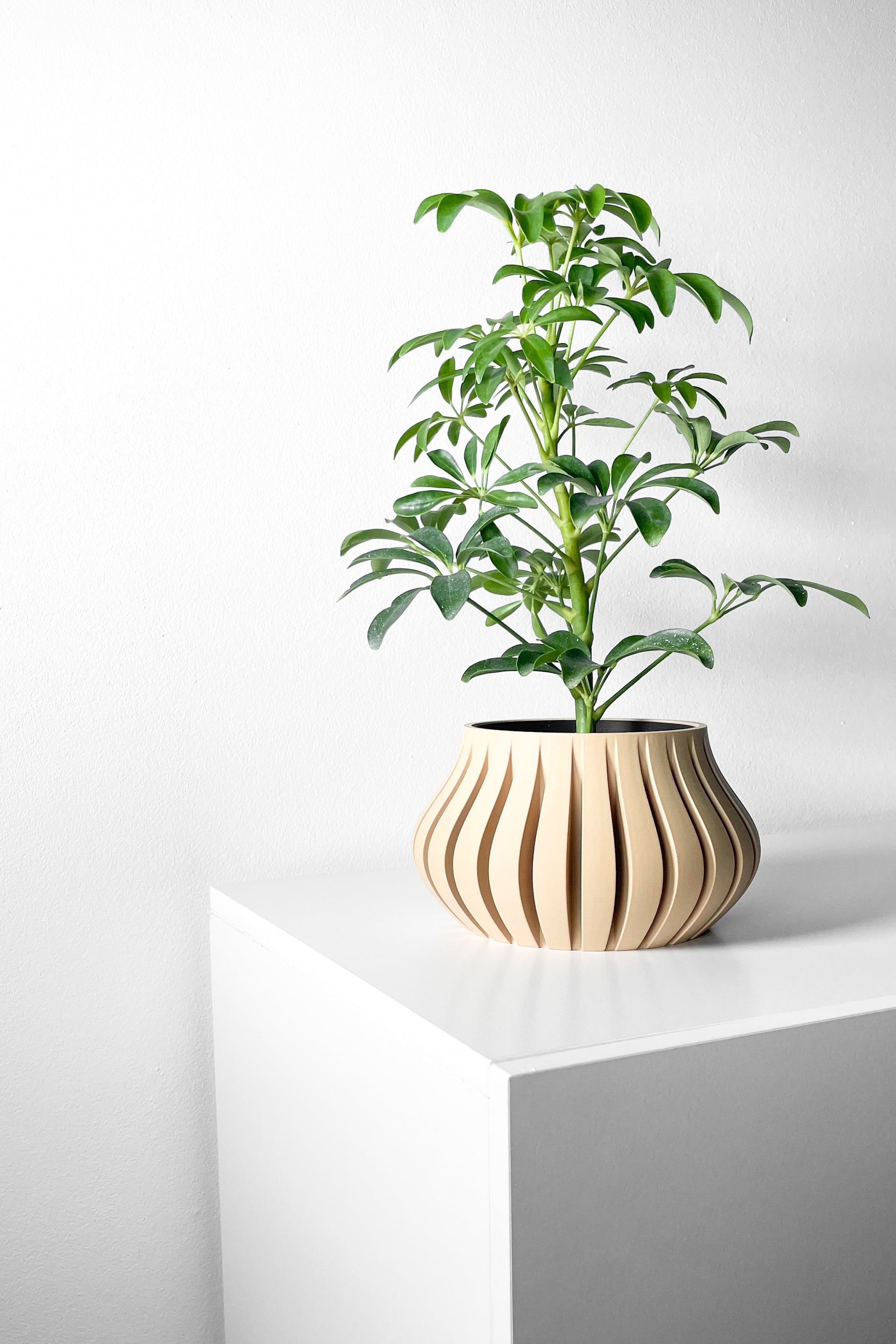 Toril Planter