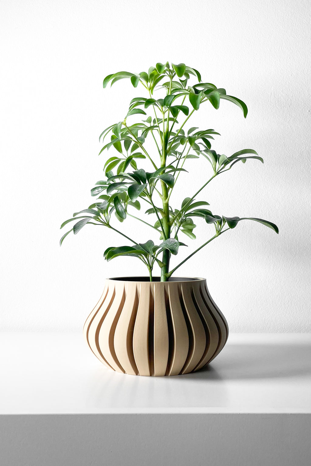 Toril Planter