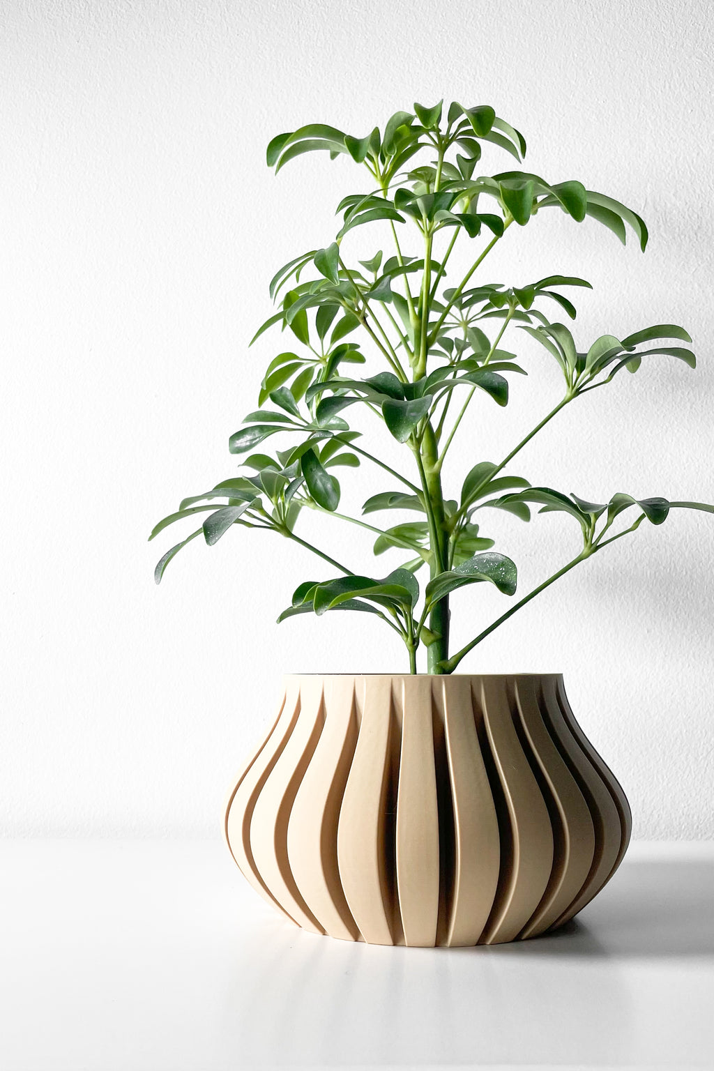 Toril Planter