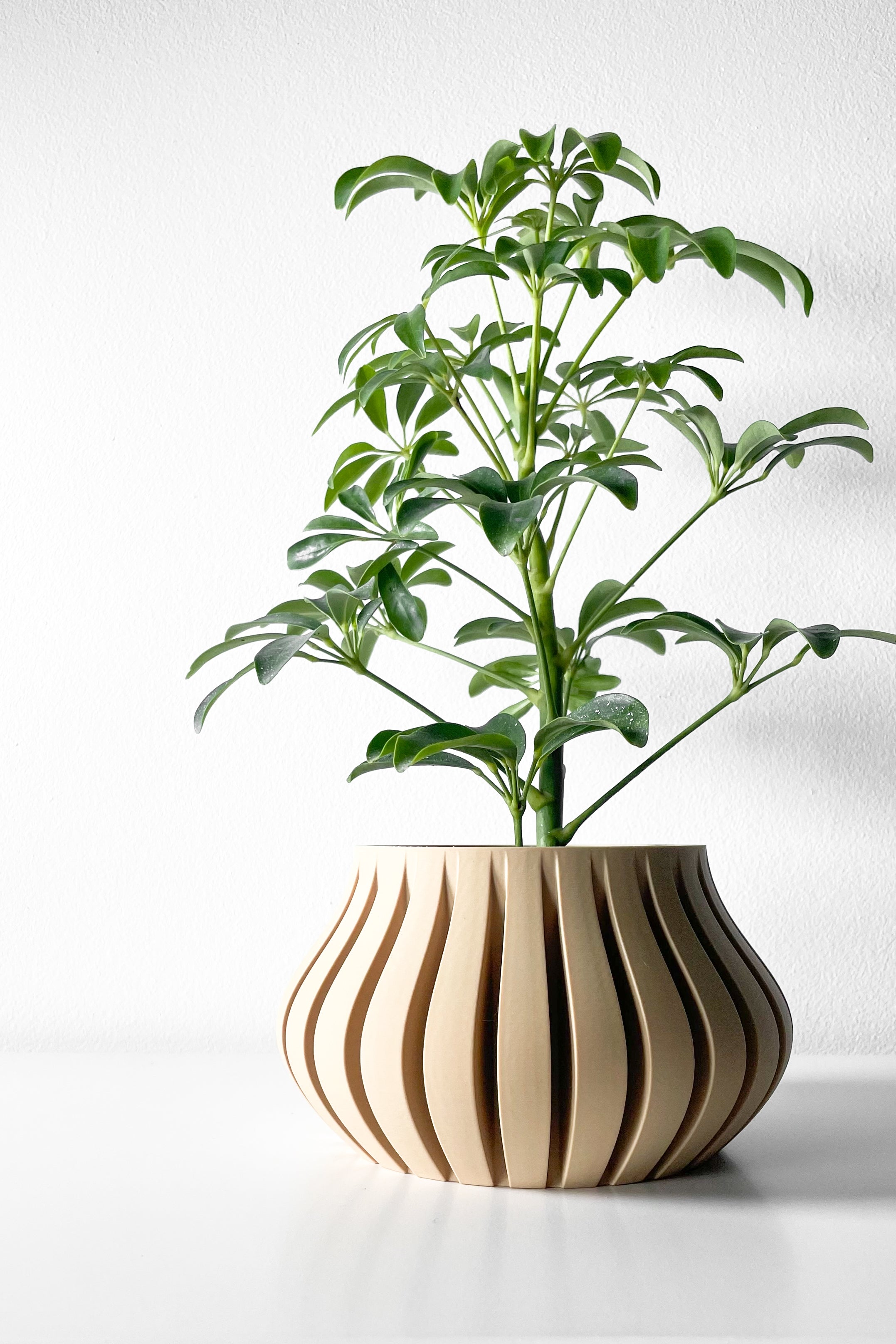 Toril Planter