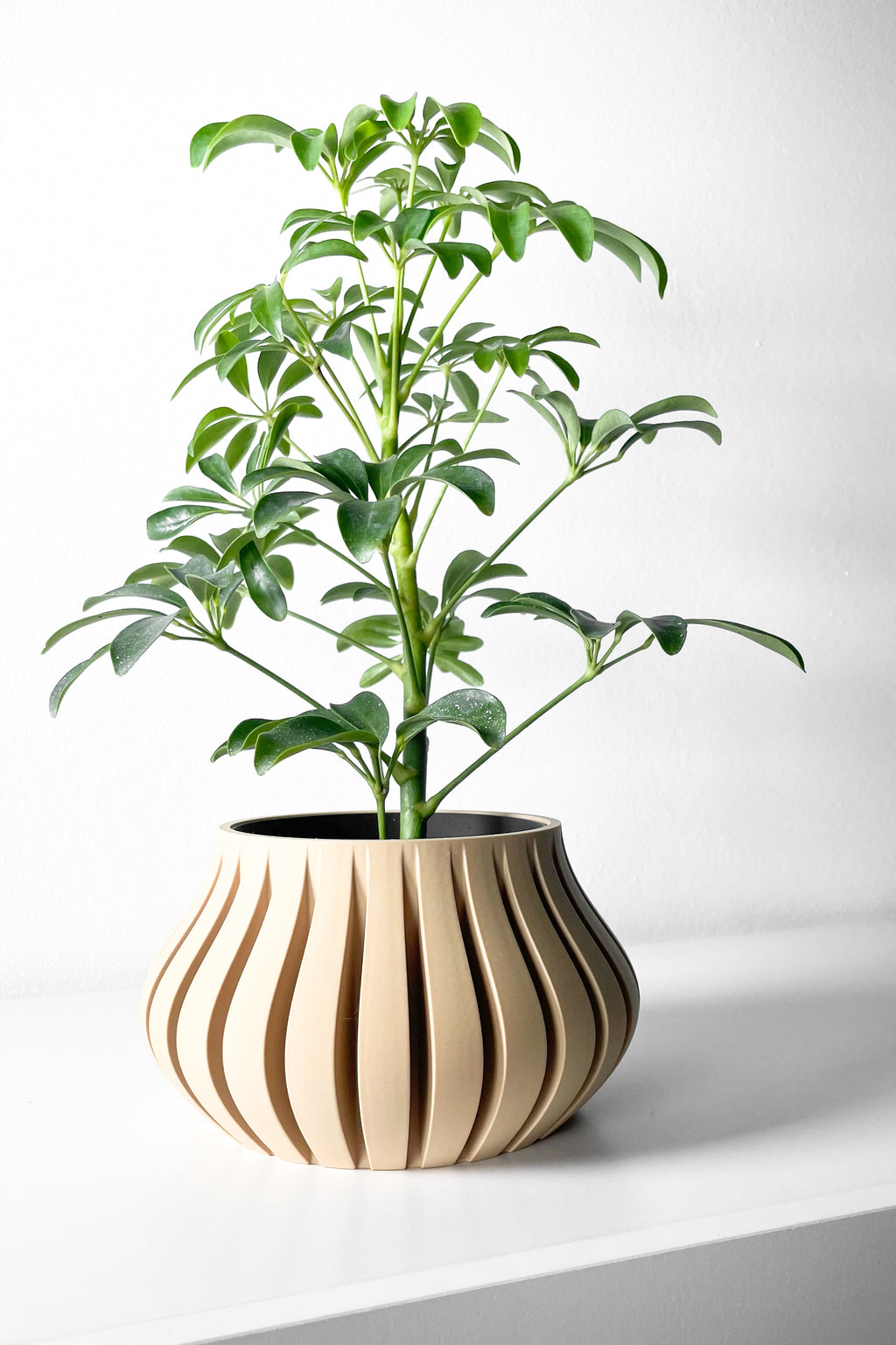 Toril Planter