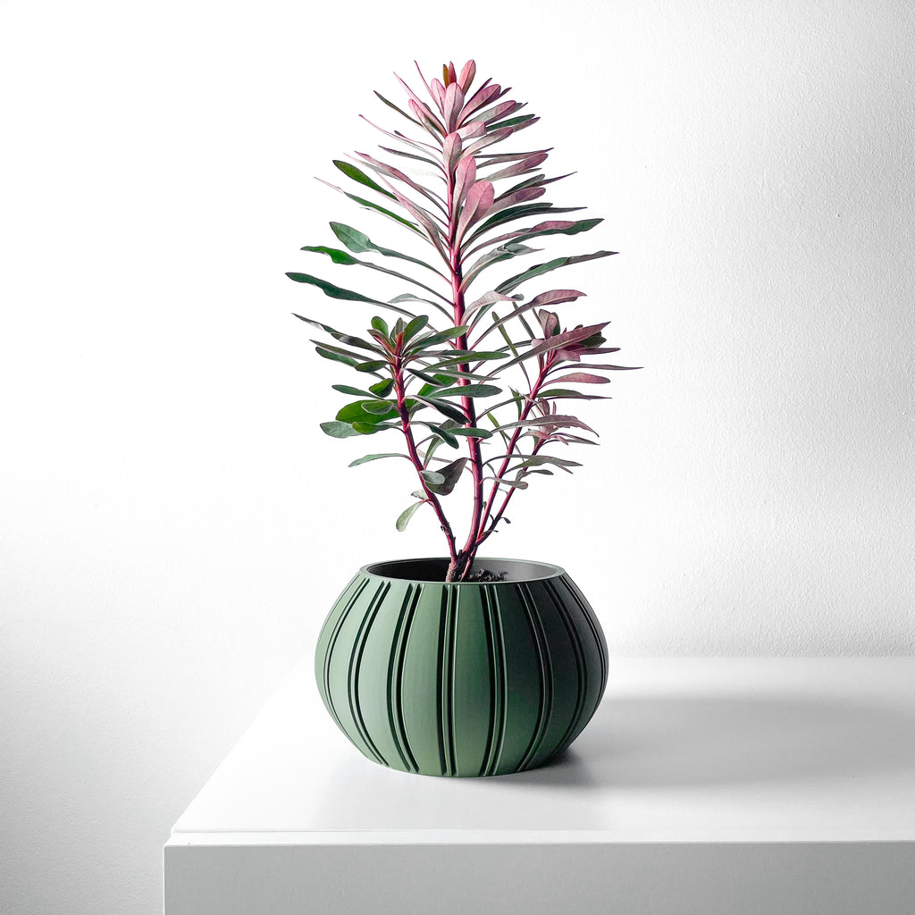 Ovire Planter