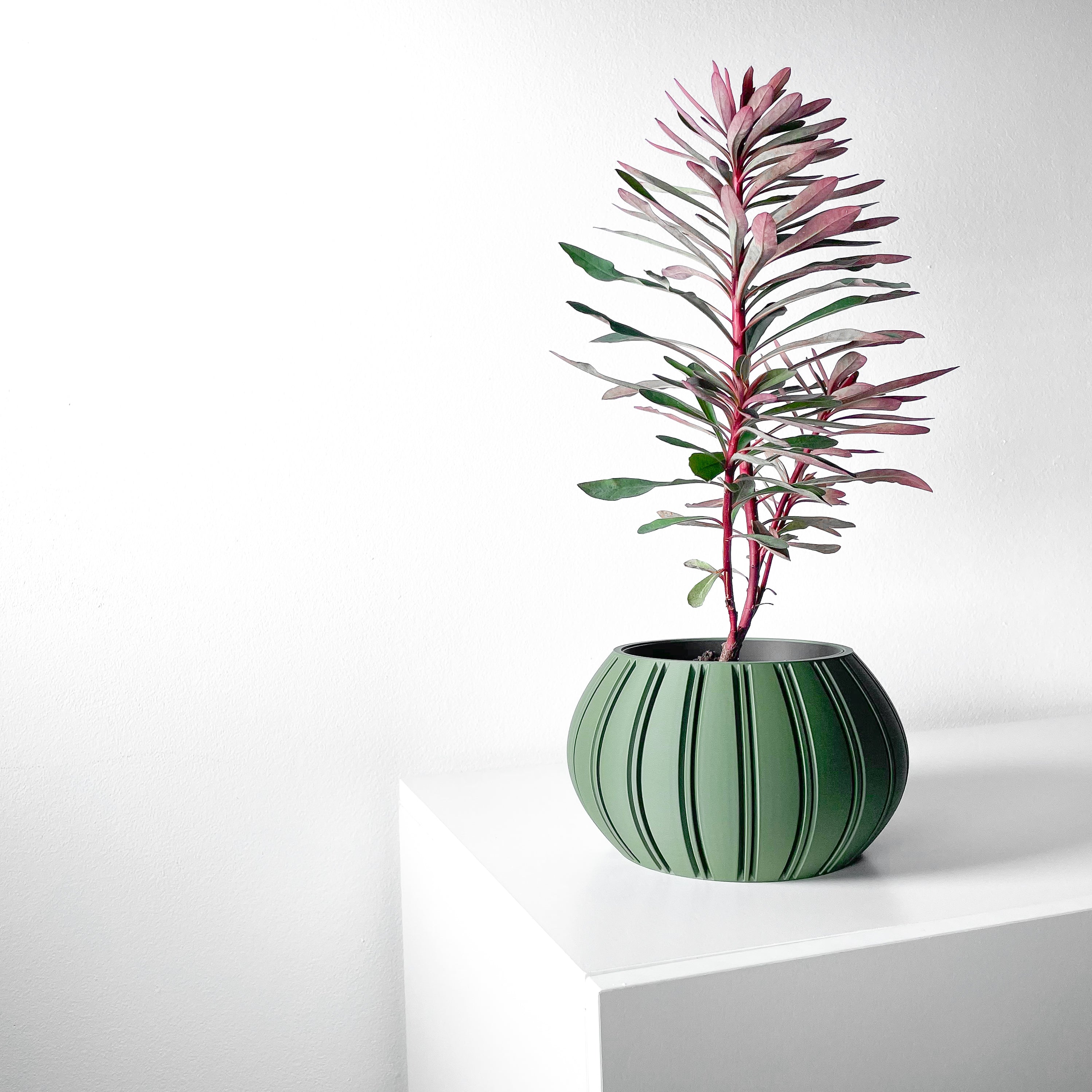 Ovire Planter