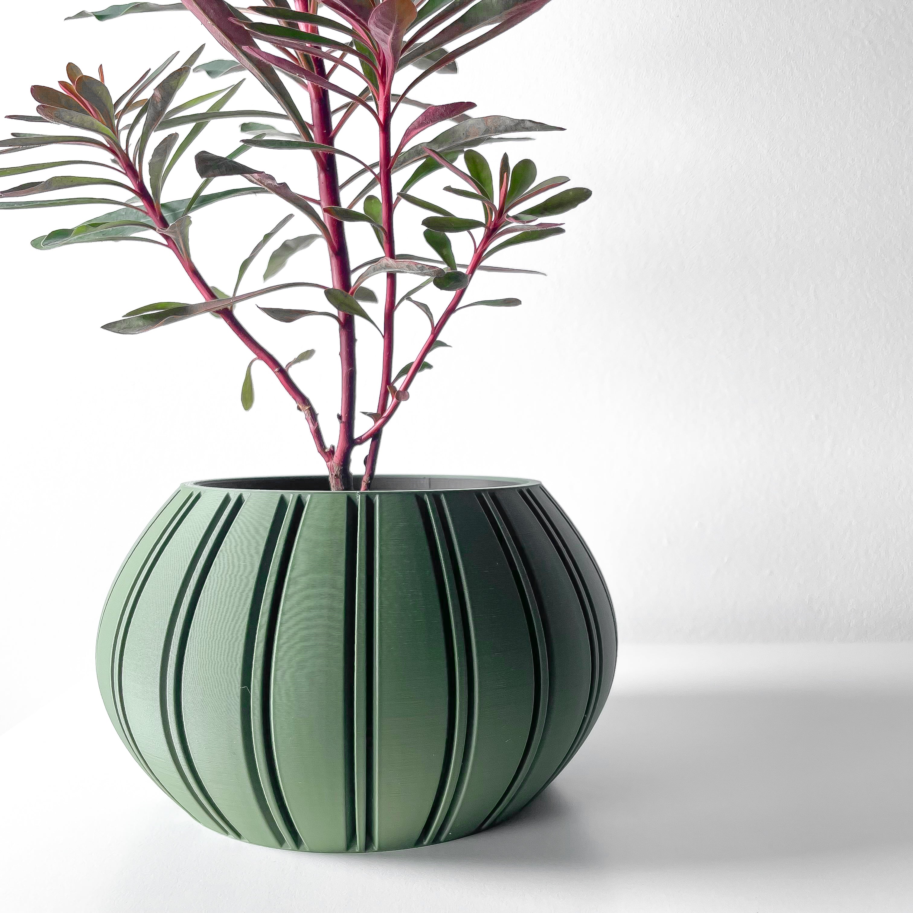 Ovire Planter