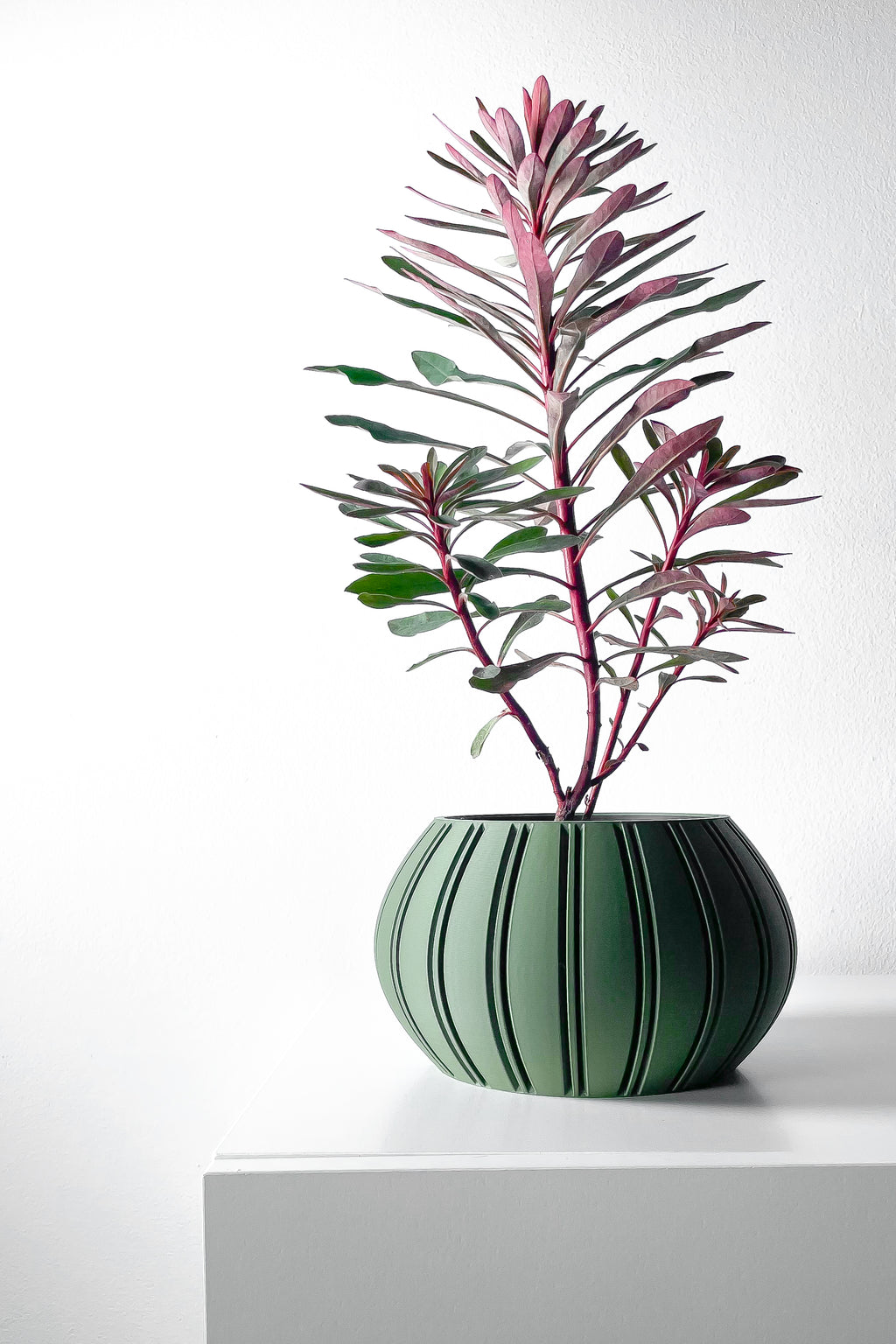 Ovire Planter