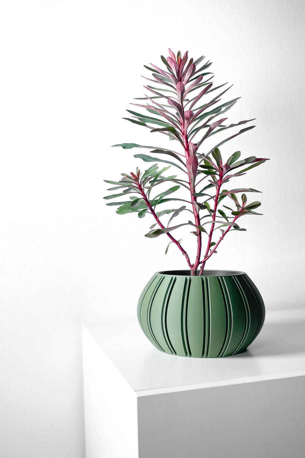 Ovire Planter