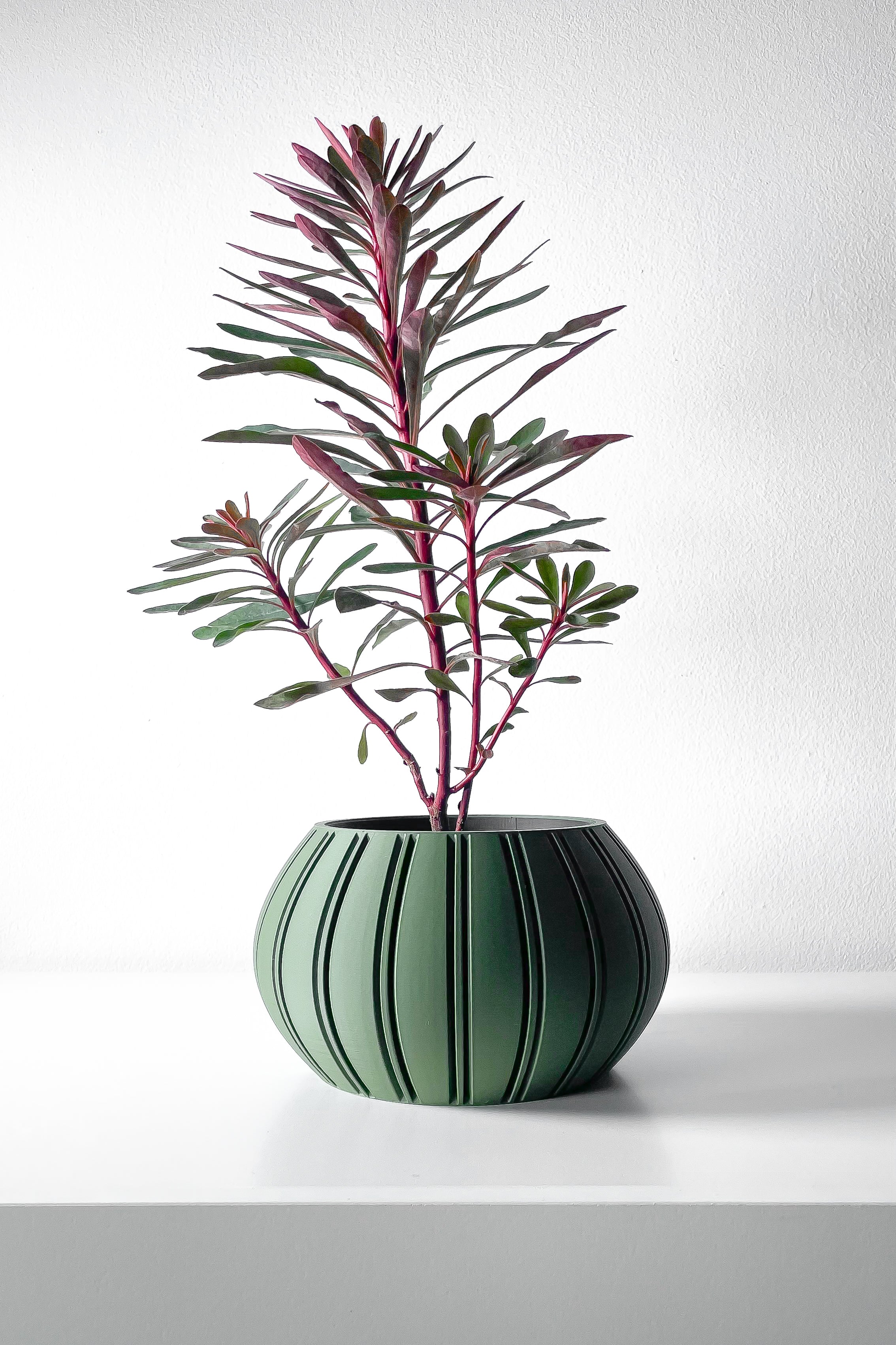 Ovire Planter