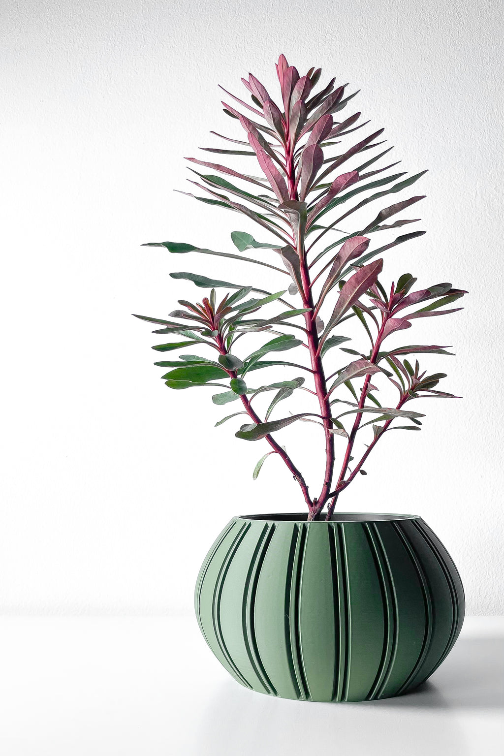 Ovire Planter