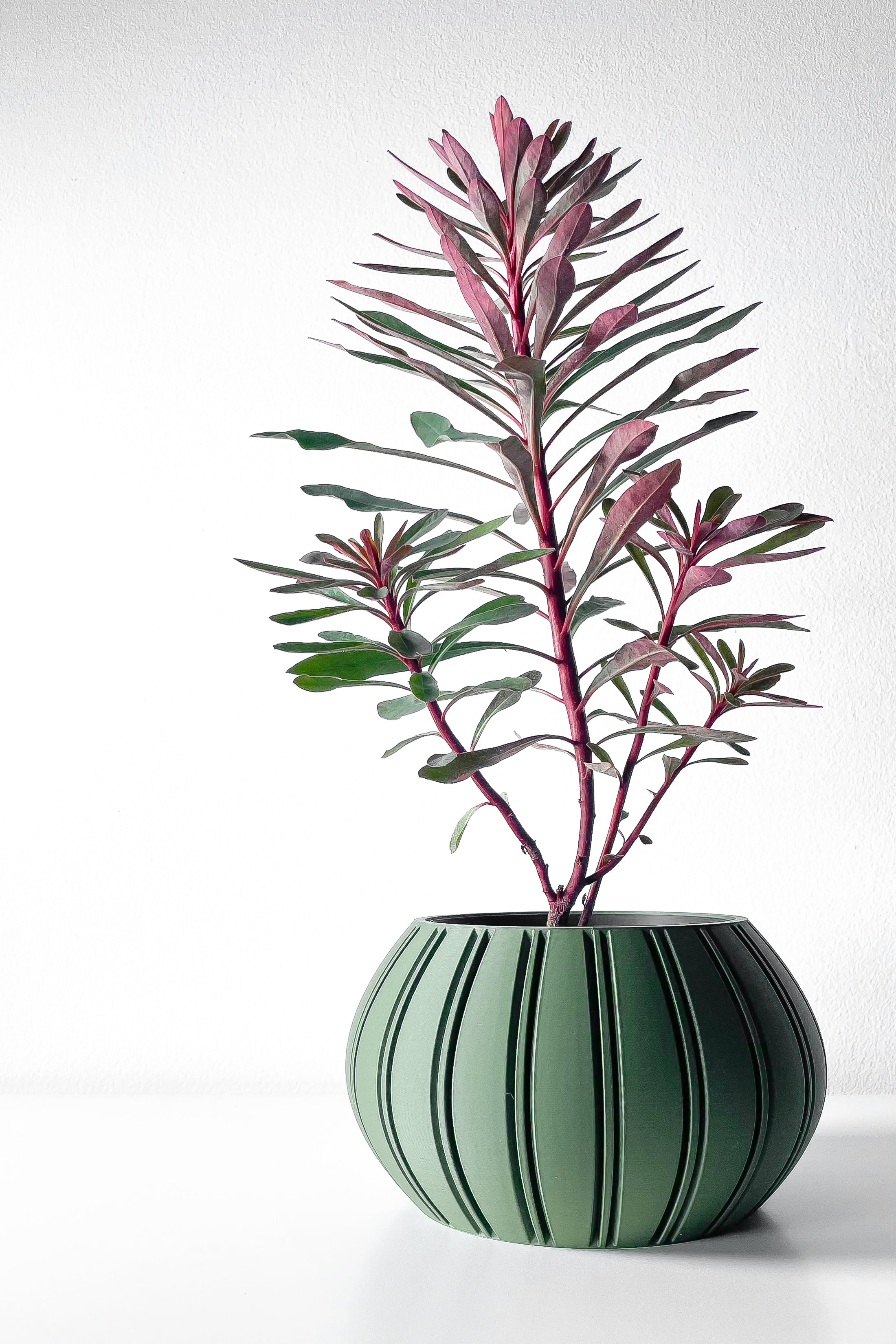 Ovire Planter