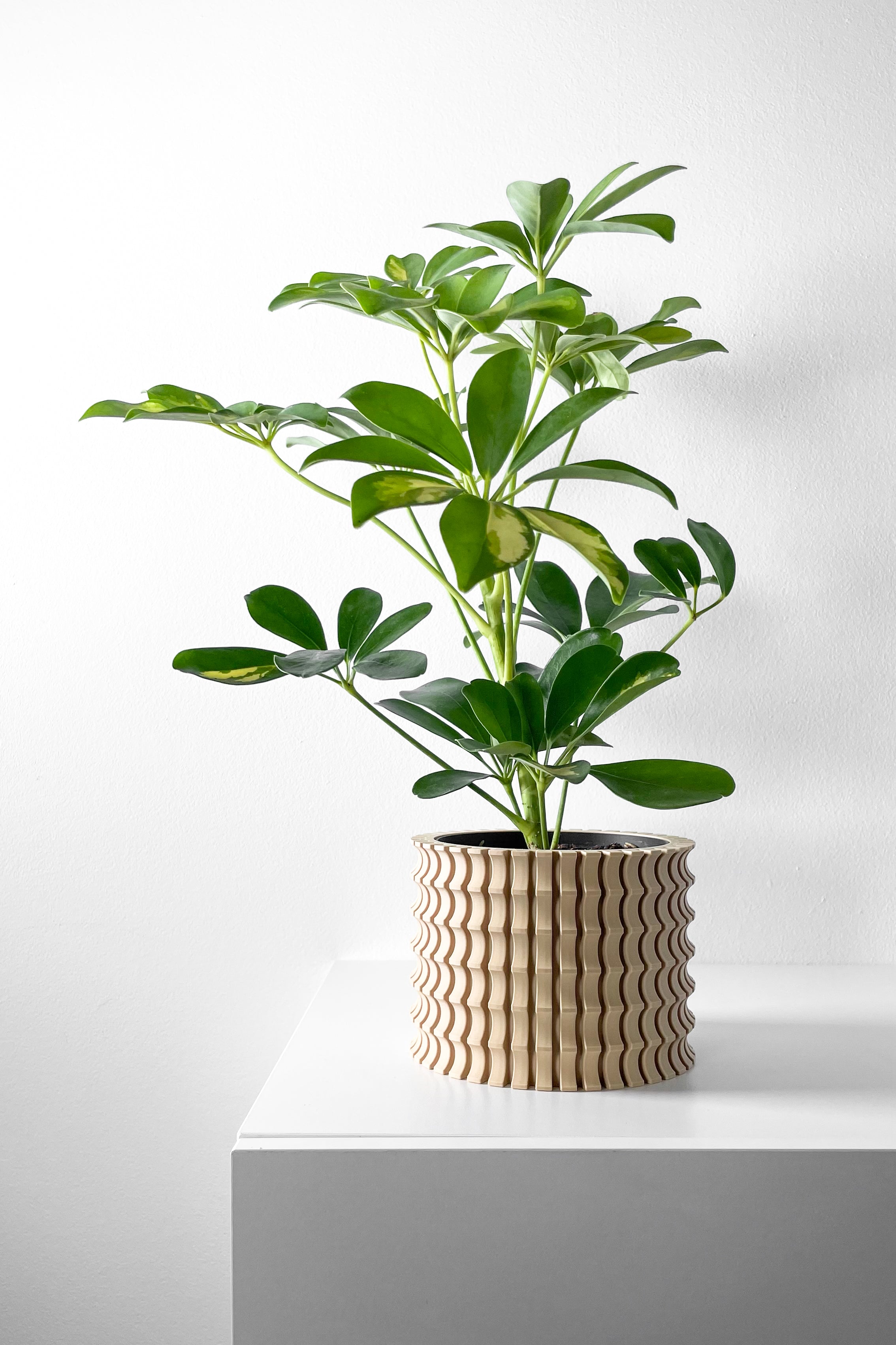 Tulam Vase