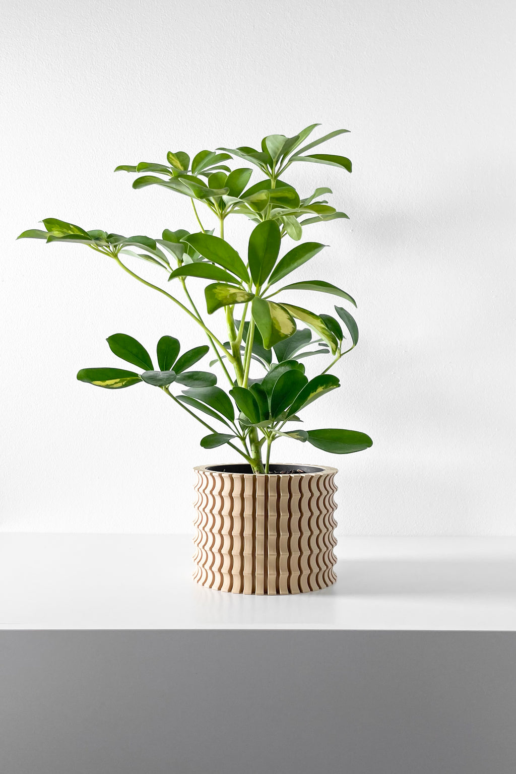 Tulam Vase