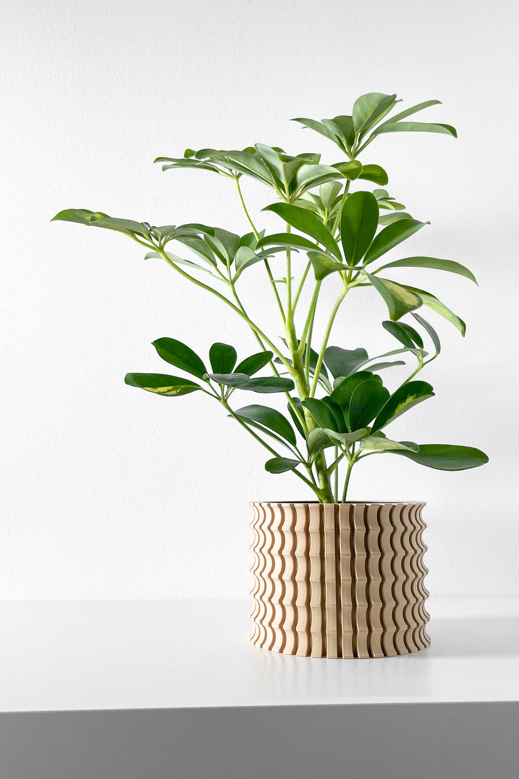 Tulam Vase