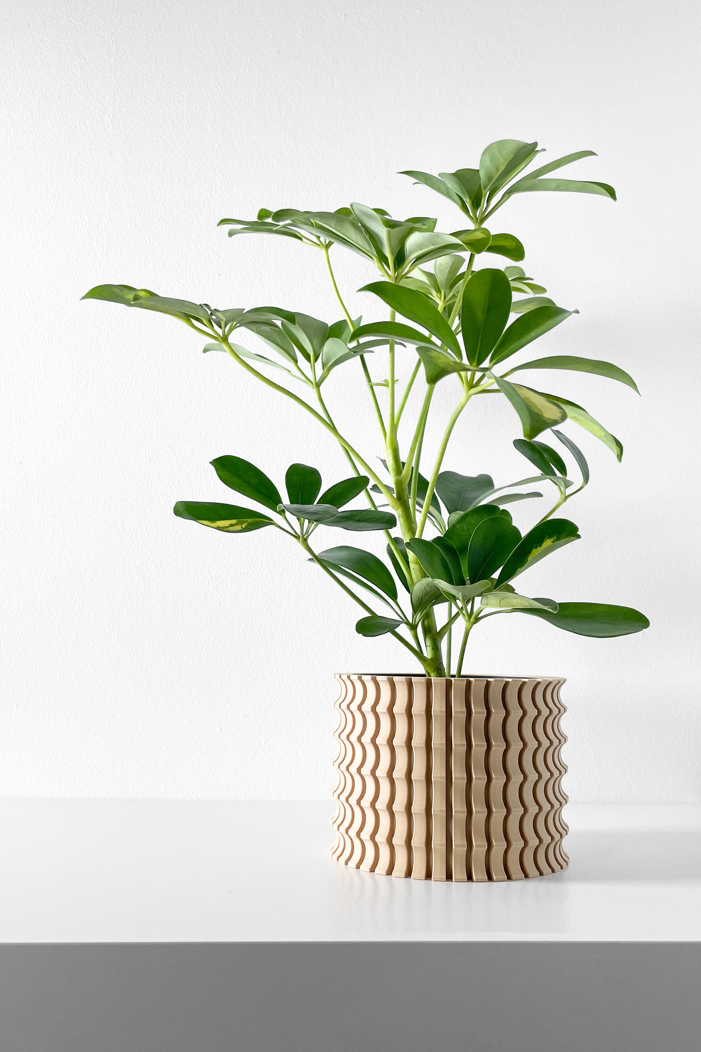 Tulam Vase