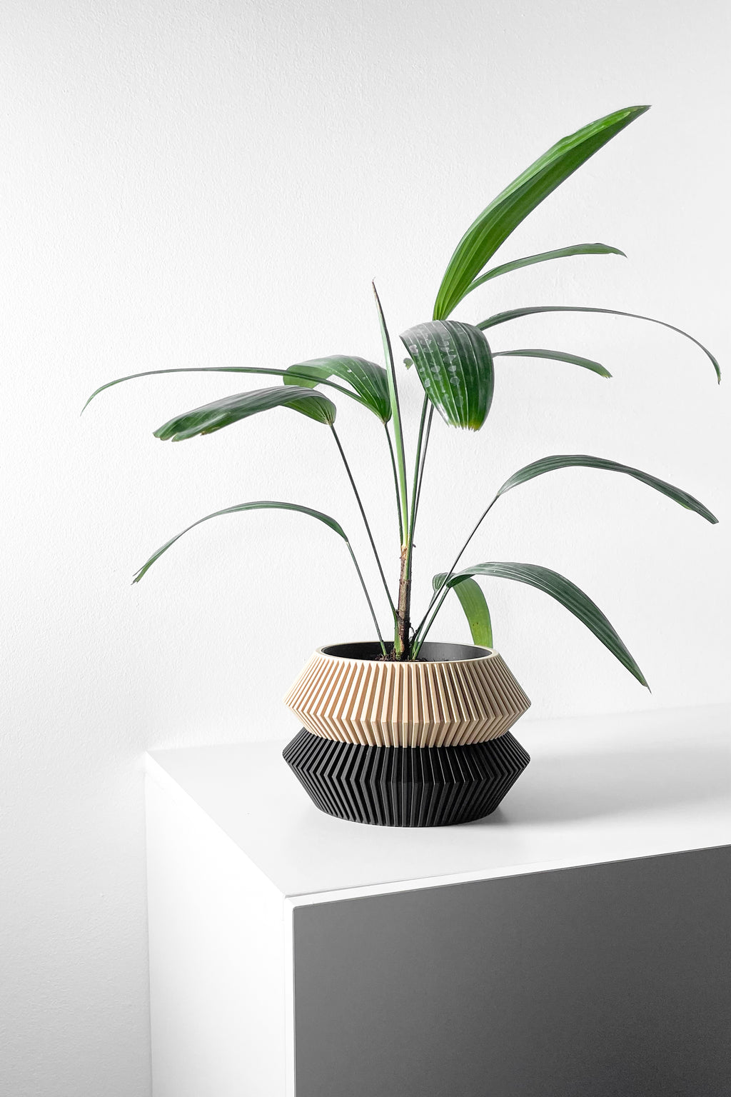 Wenra Planter