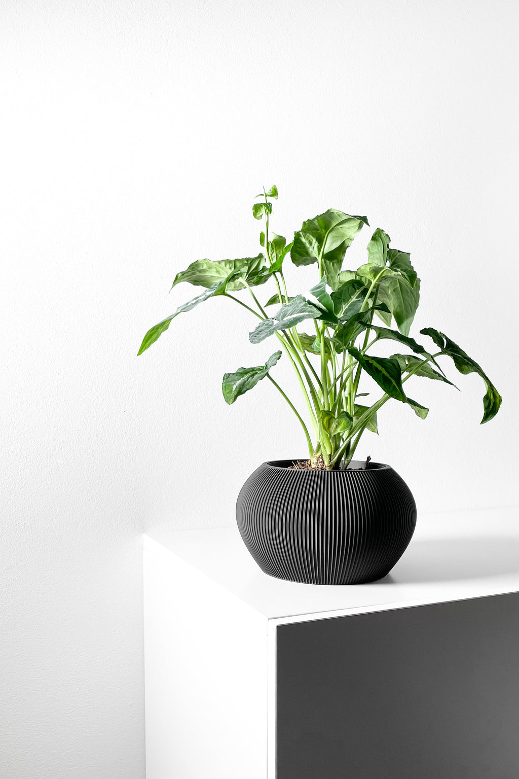 Melfi Planter