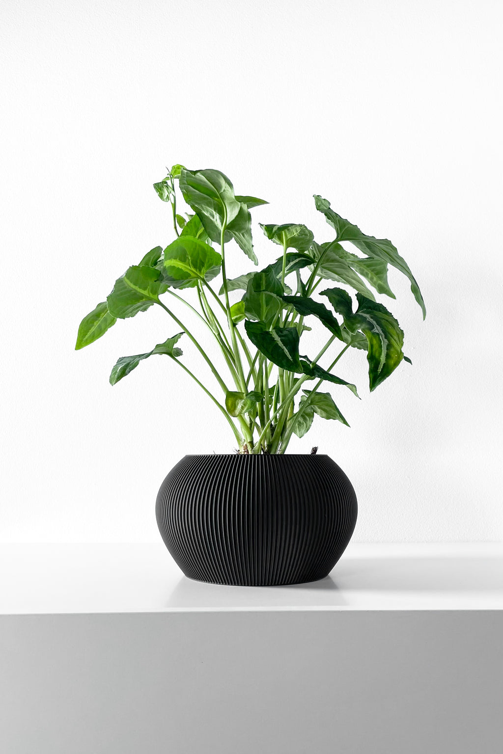 Melfi Planter