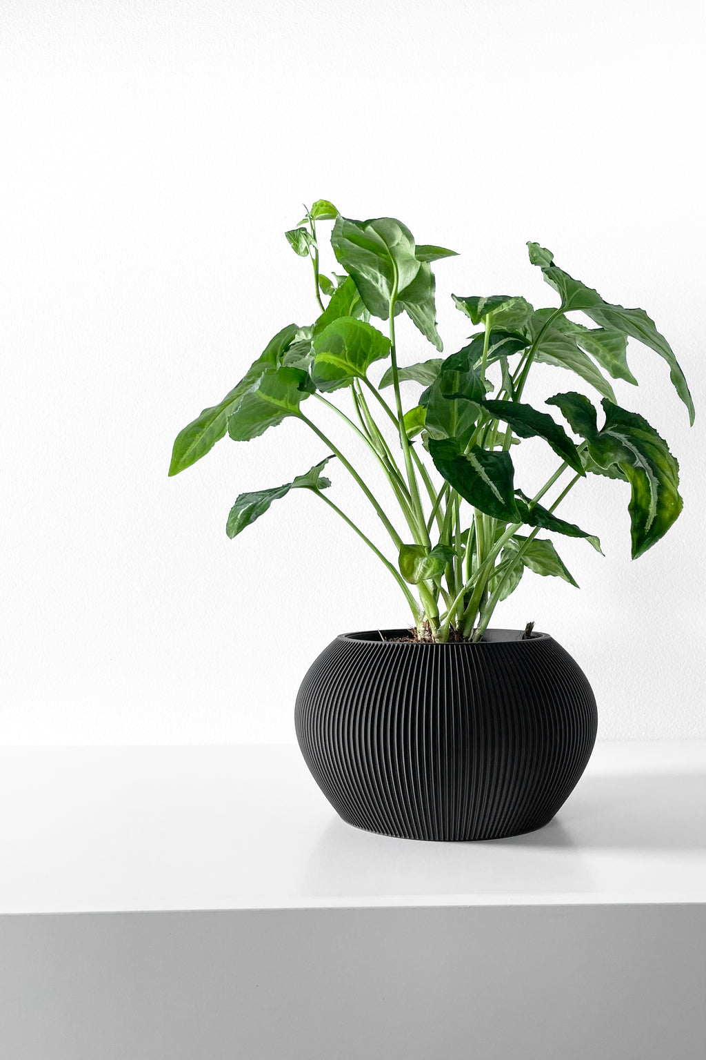 Melfi Planter