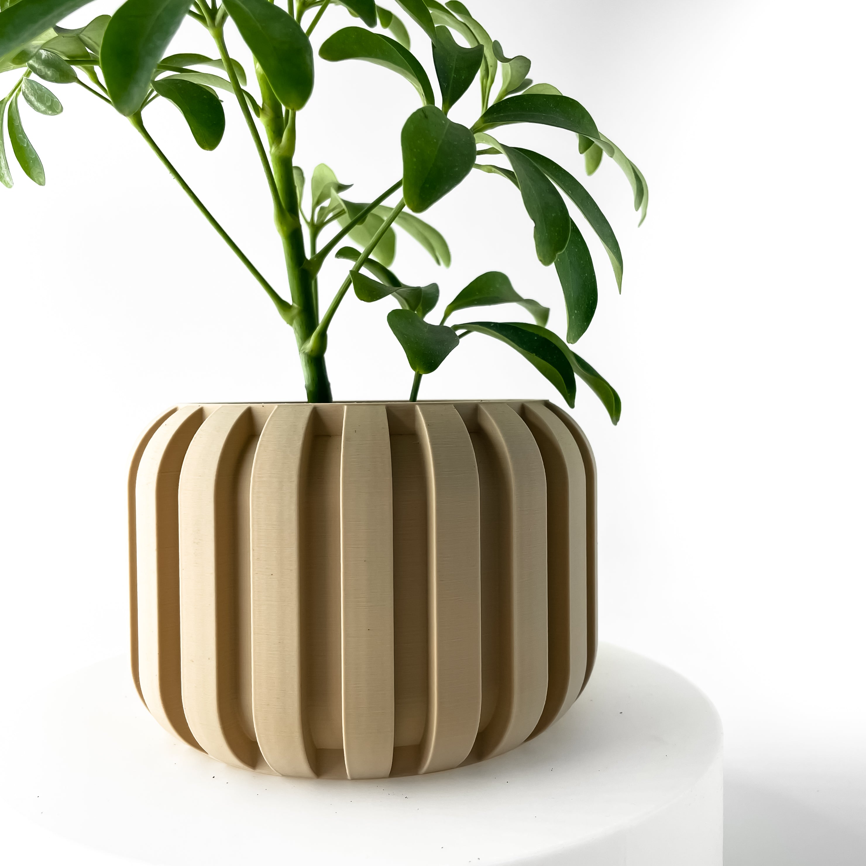 The Panu Planter Pot