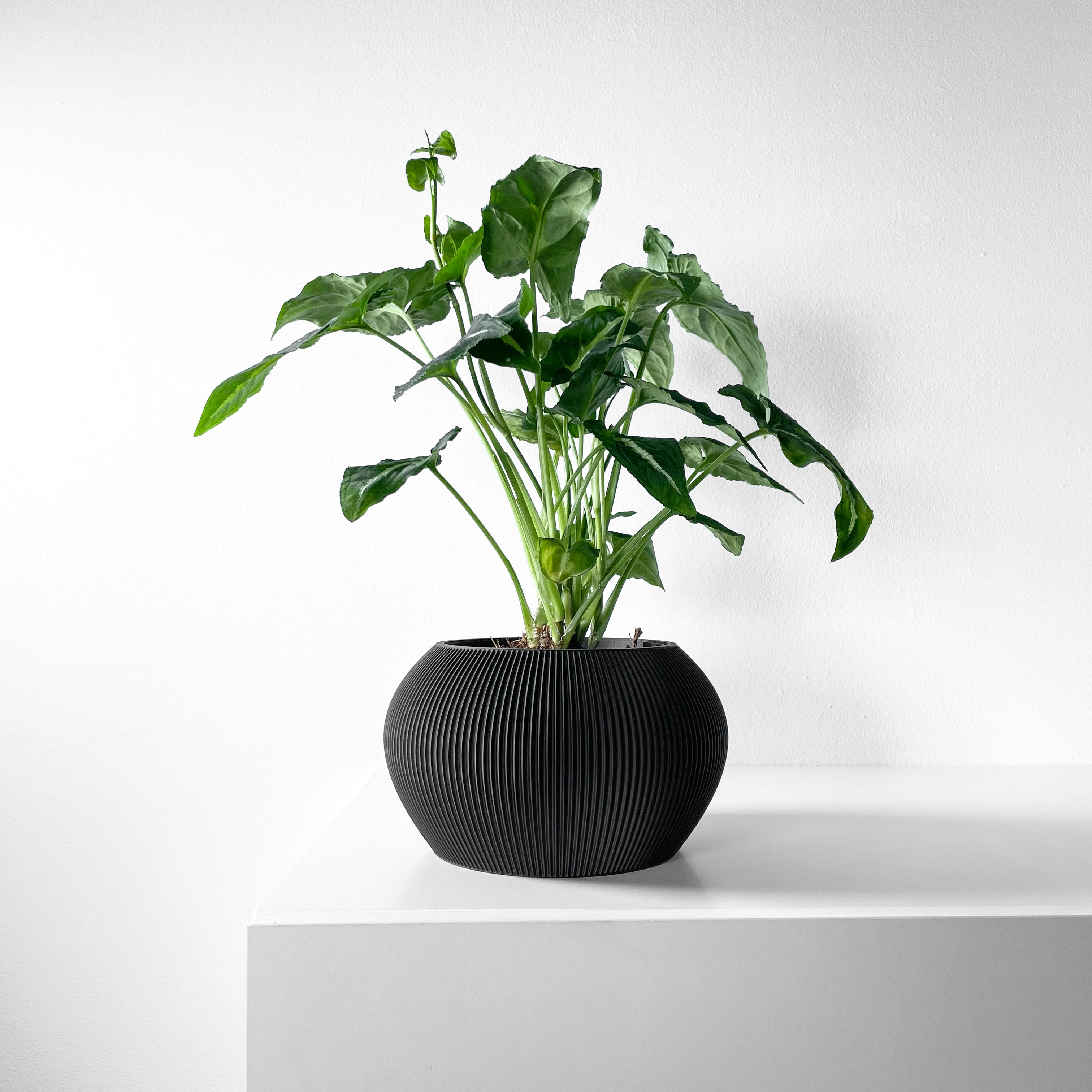 Melfi Planter