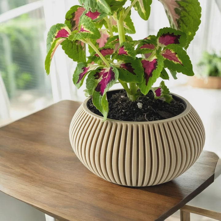 Torme Planter