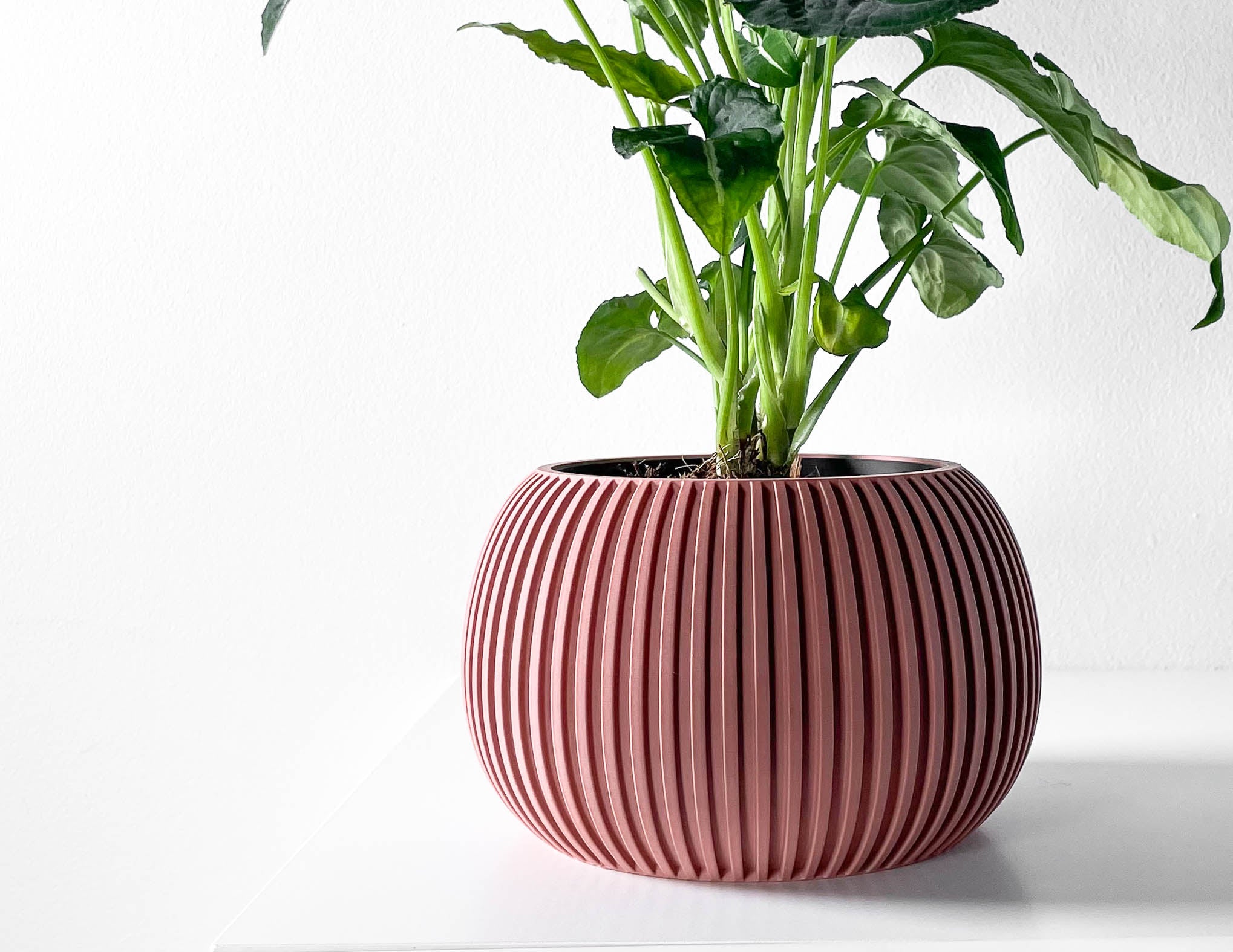 Surno Planter