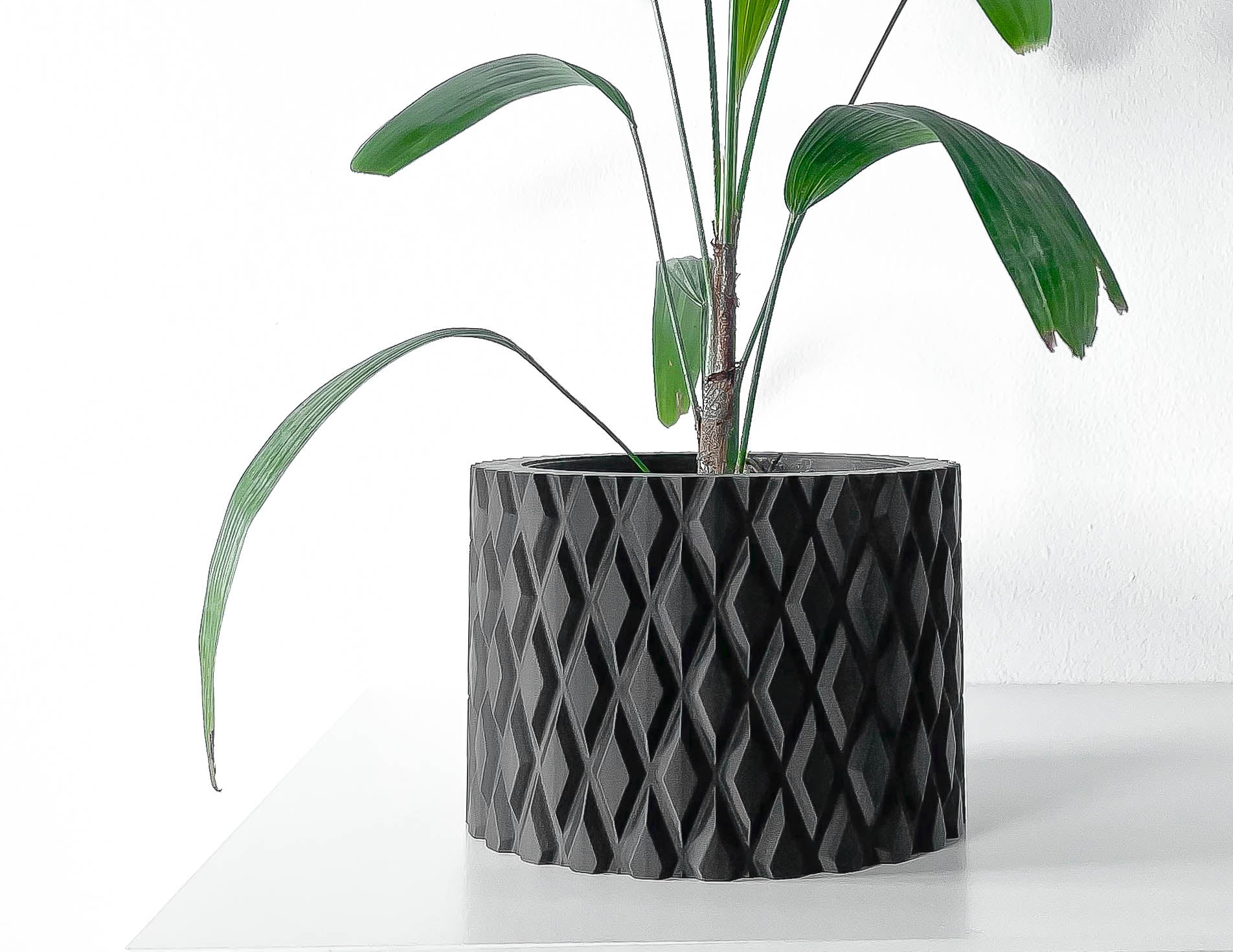 Pexil Planter