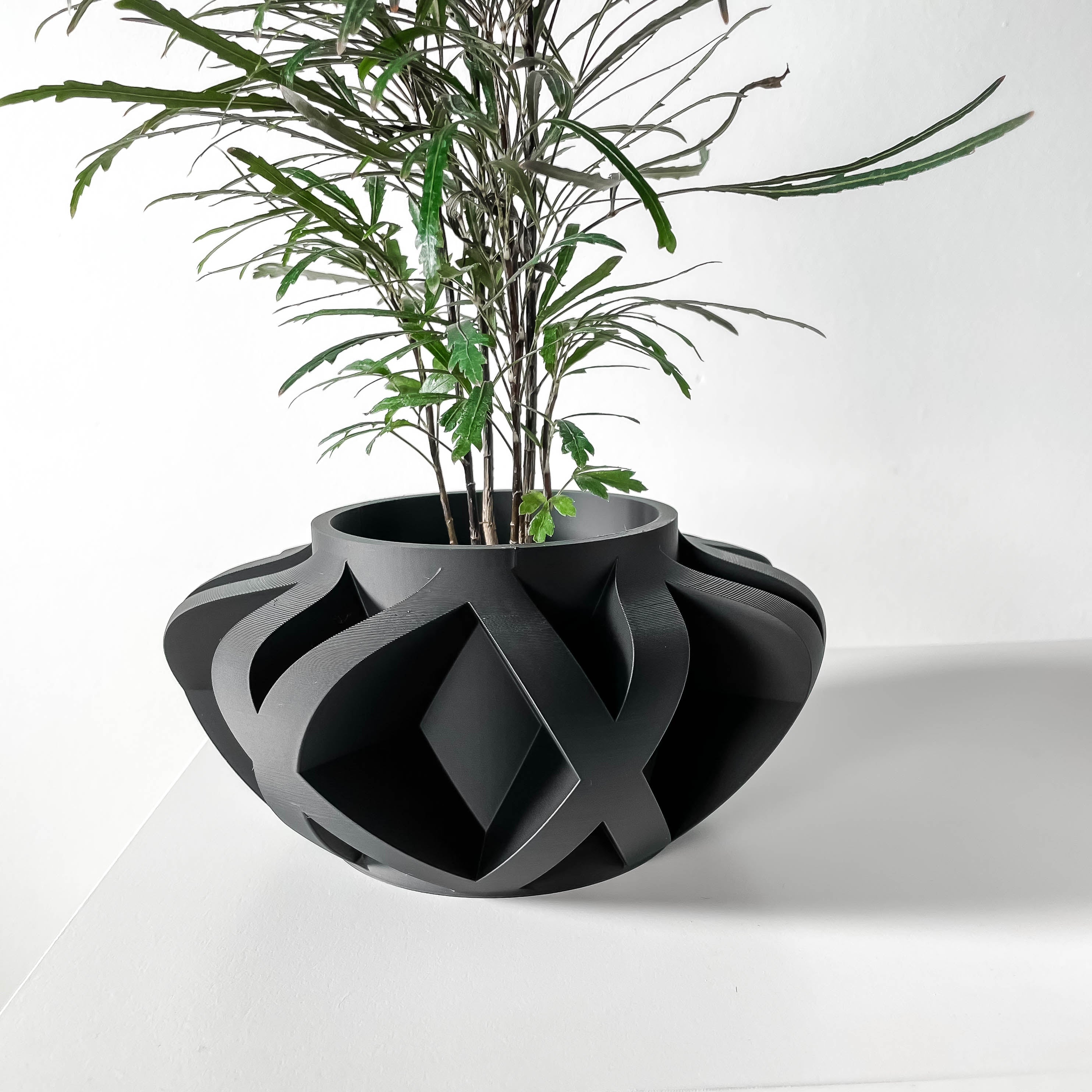 Sono Planter