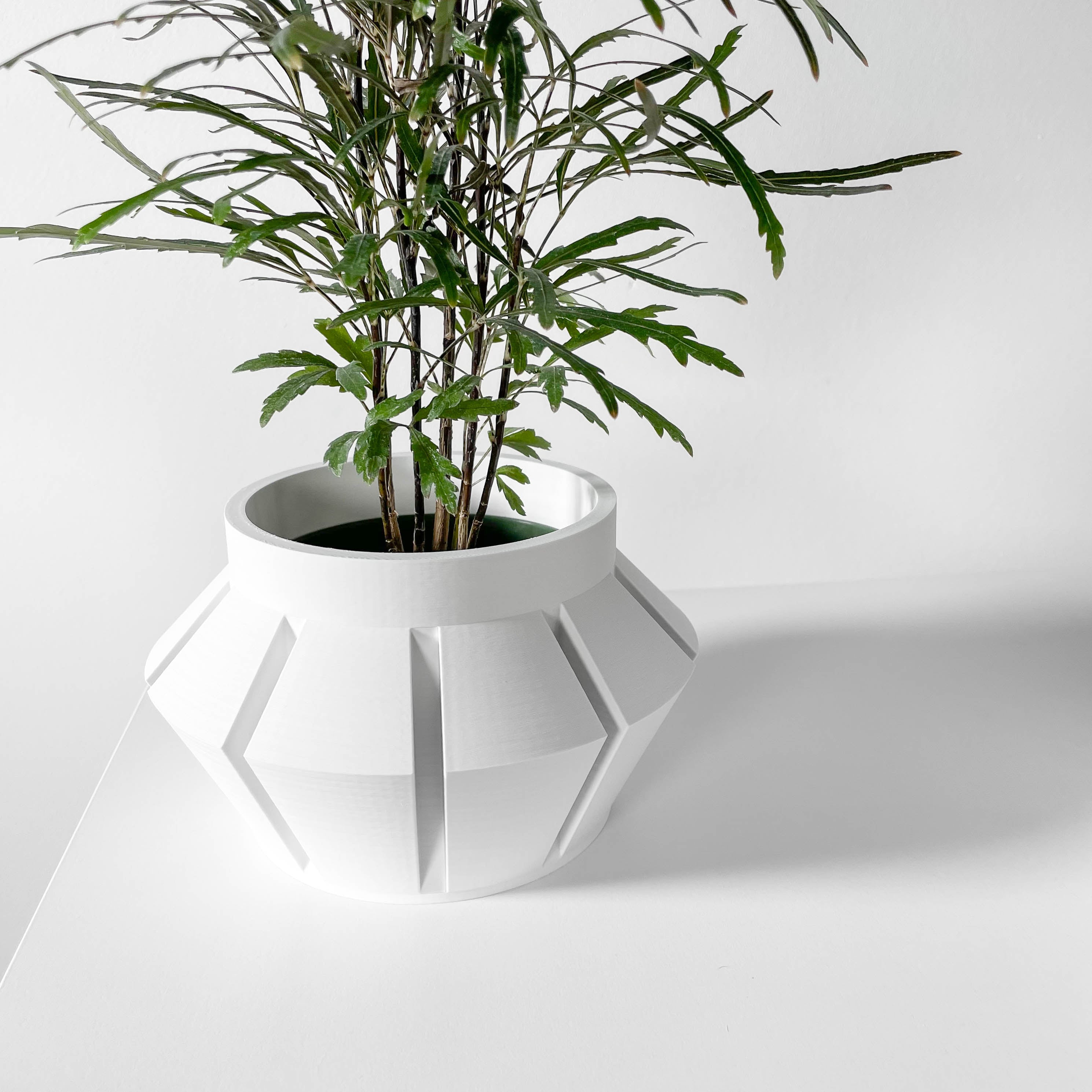 Erno Planter