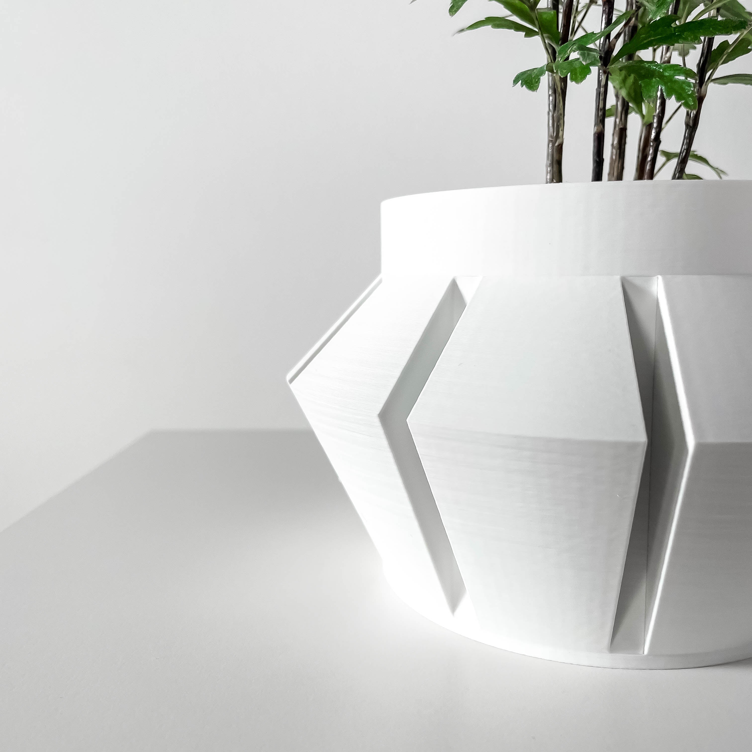 Erno Planter