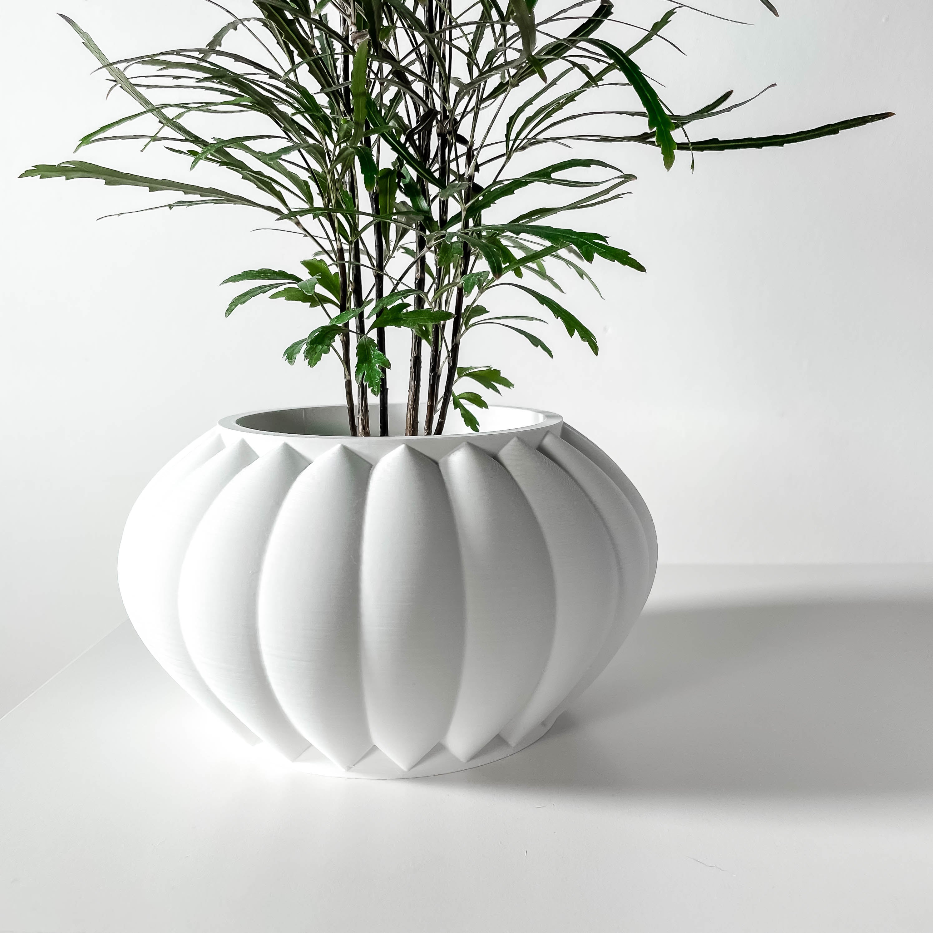 Bunos Planter