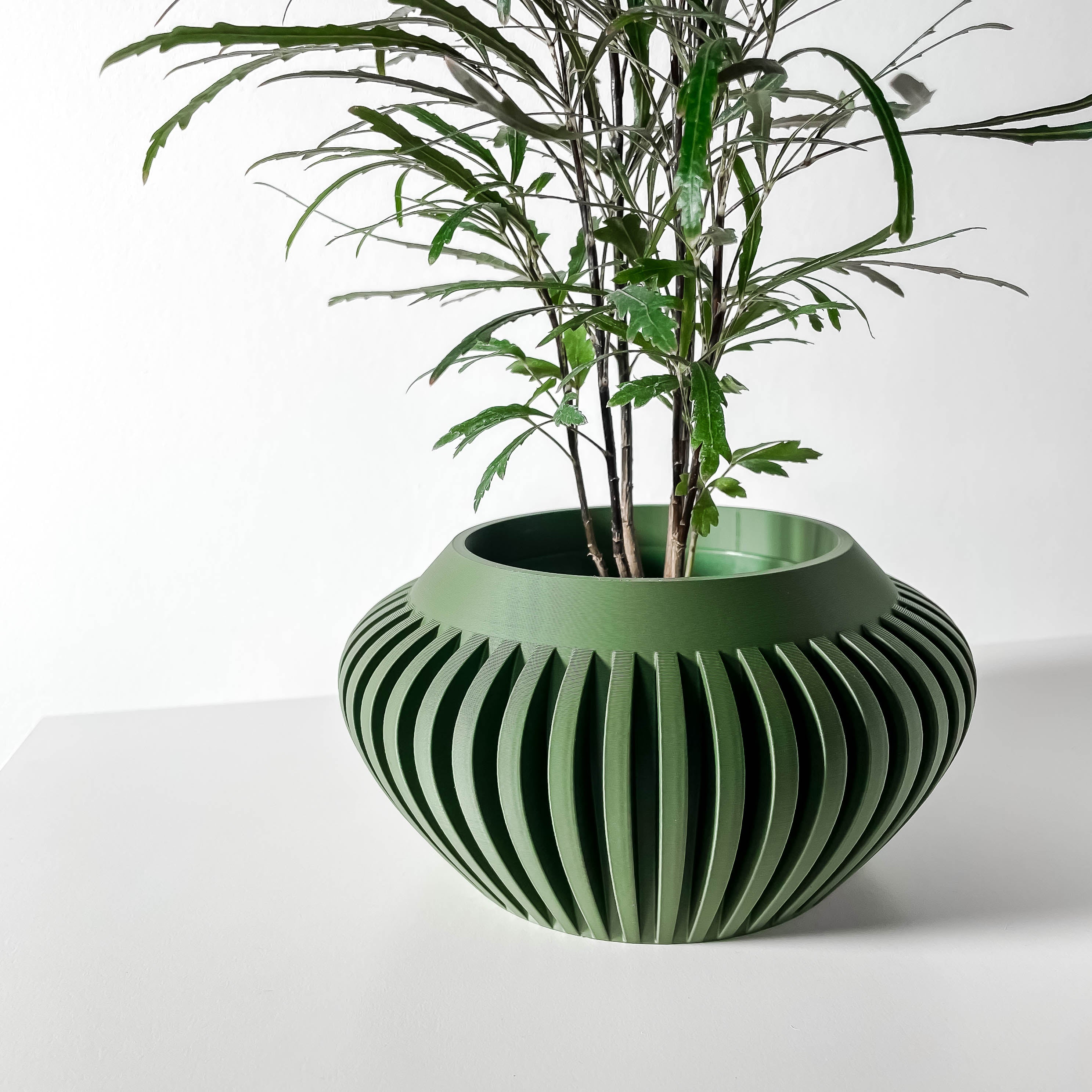 Caios Planter Pot