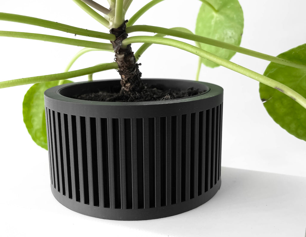 Paxon Planter