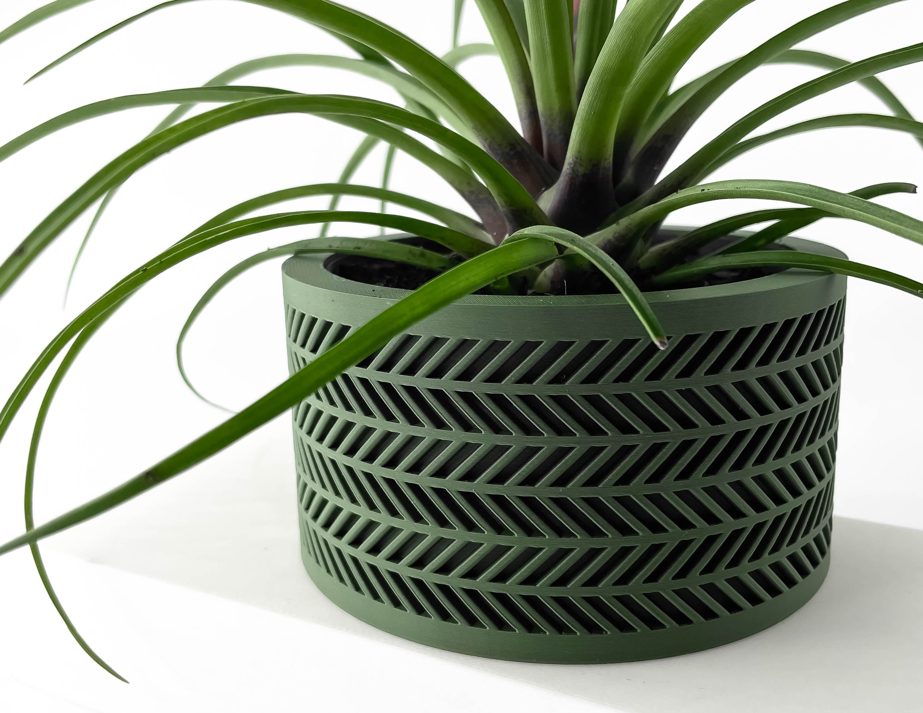 Quen Planter