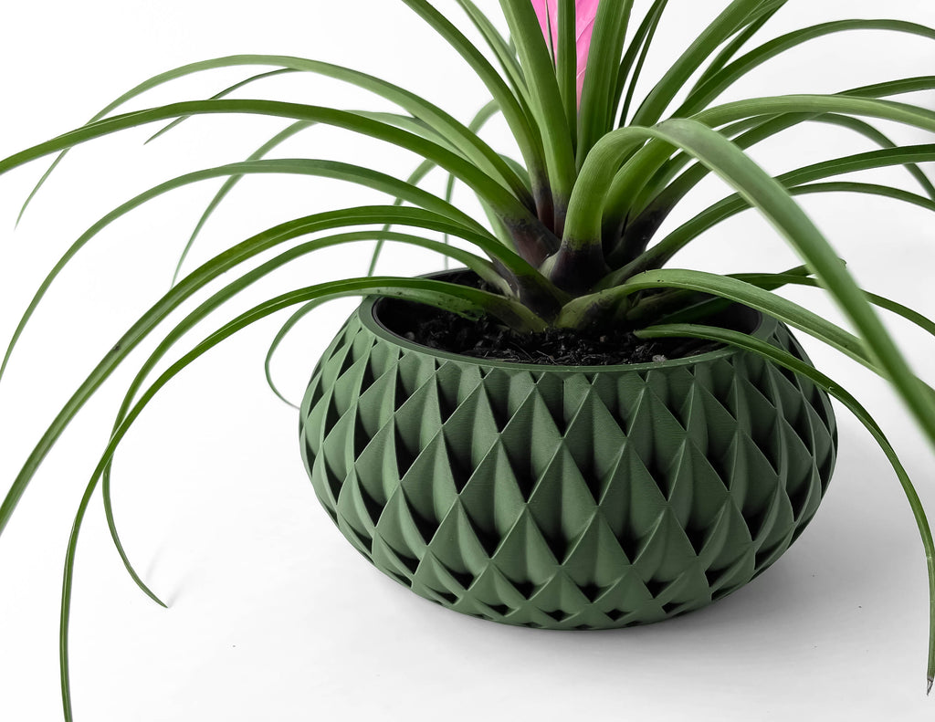 Cinor Planter