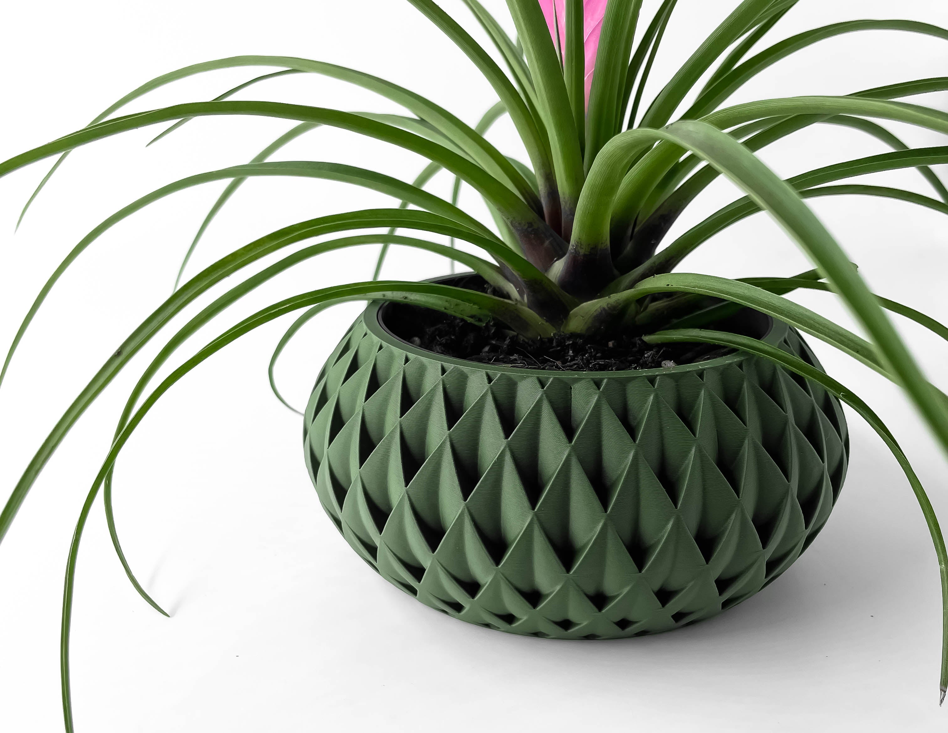 Cinor Planter