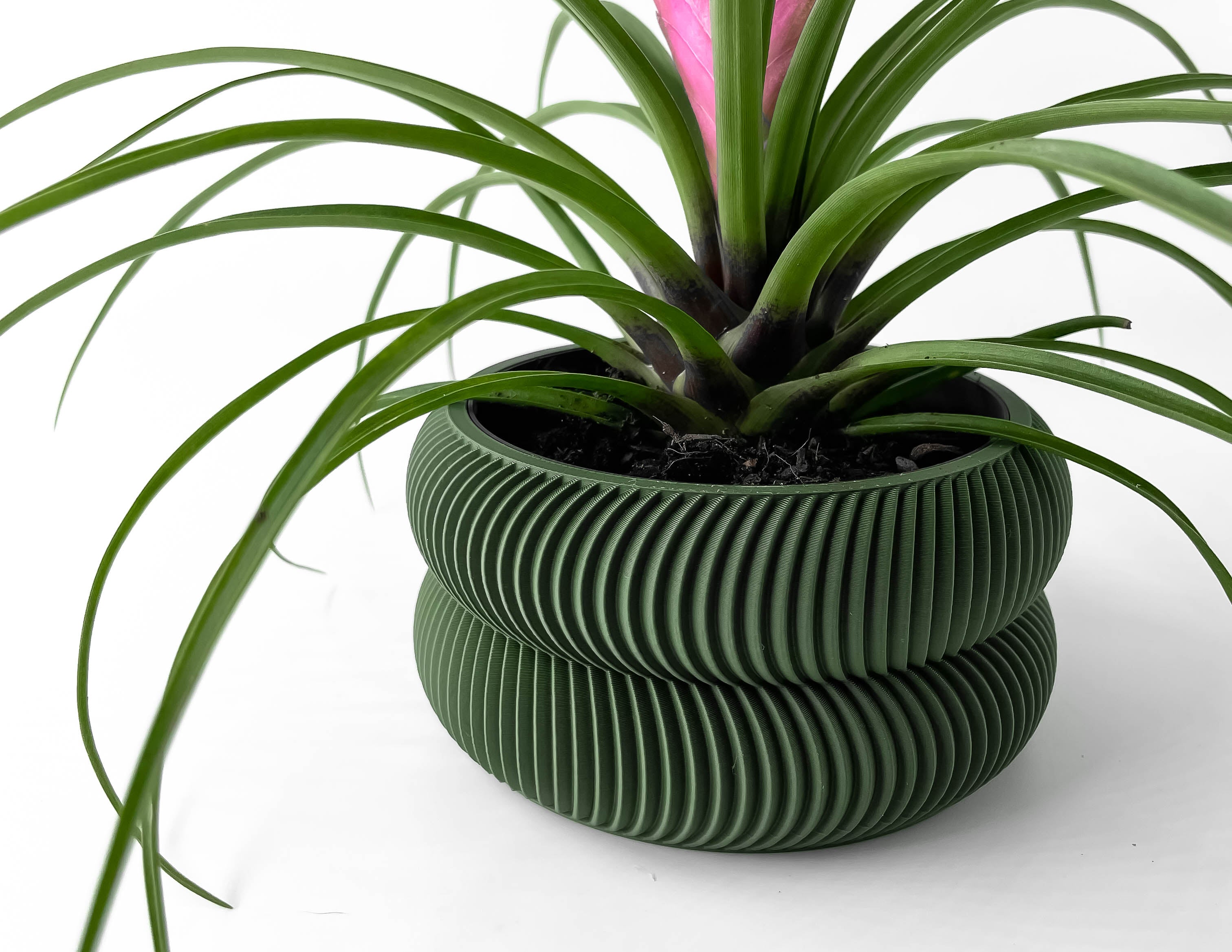 Avex Planter
